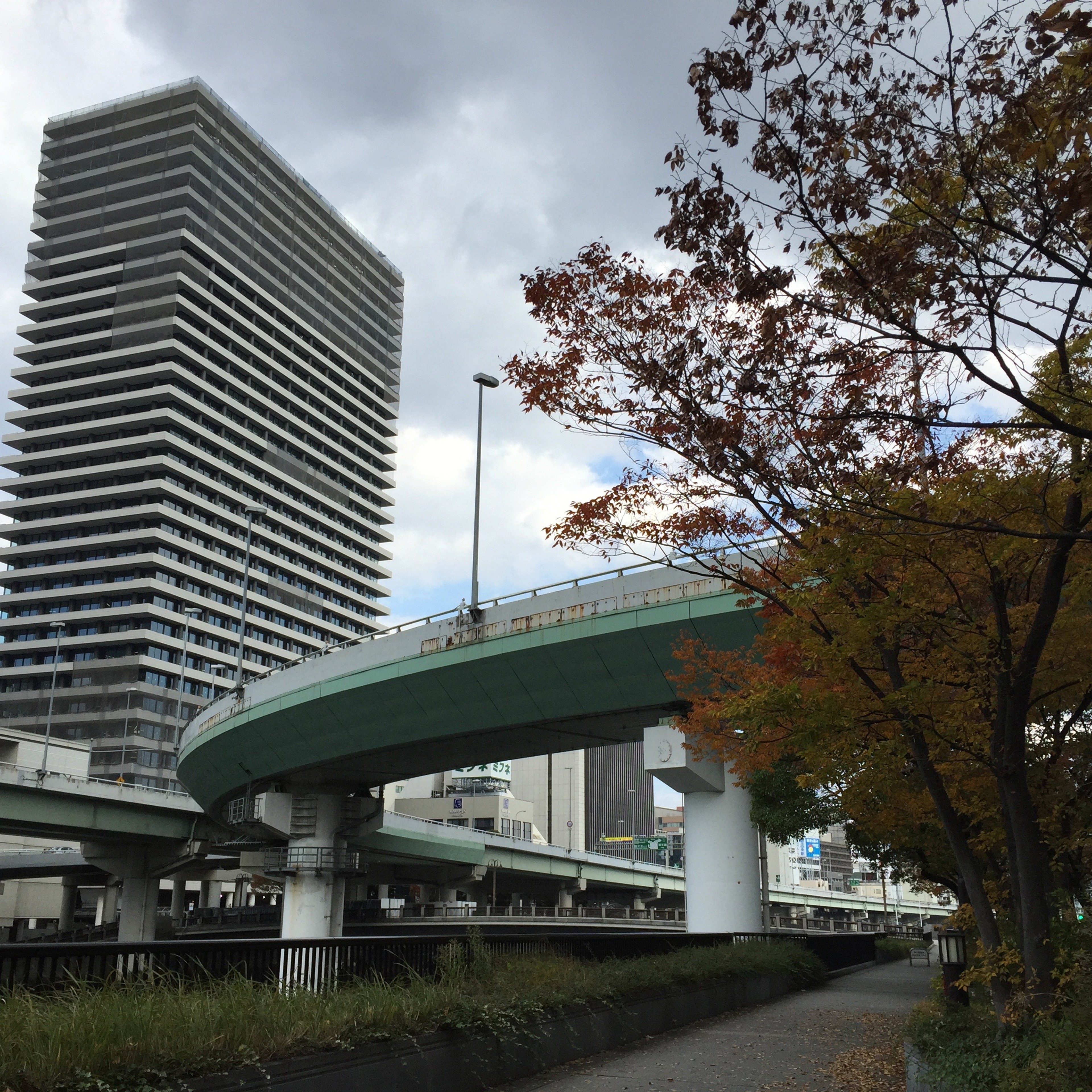 An elevated roadway curves above a tree-lined street and nearby buildings.