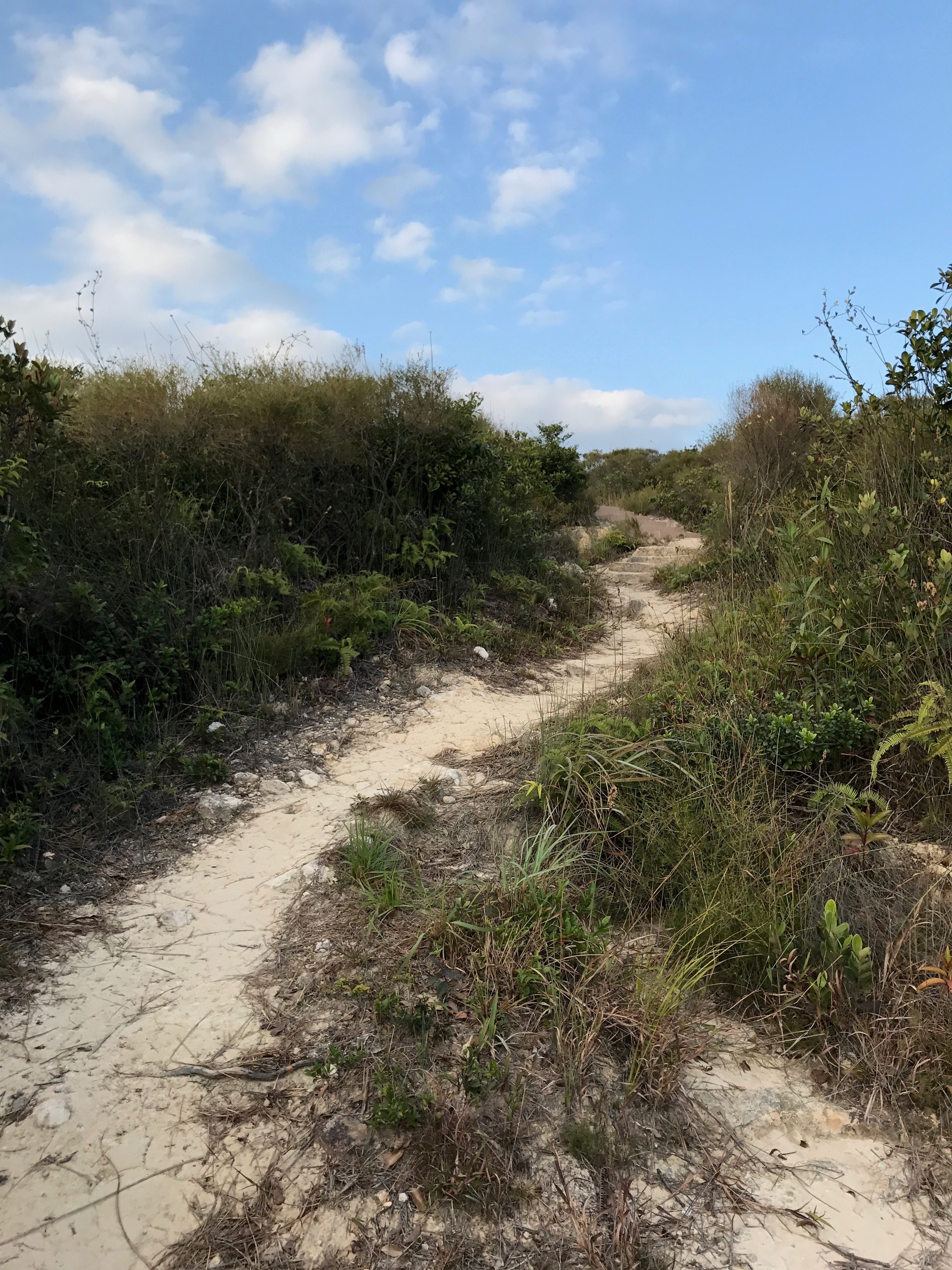 A narrow dirt path crosses low green vegetation toward the water.