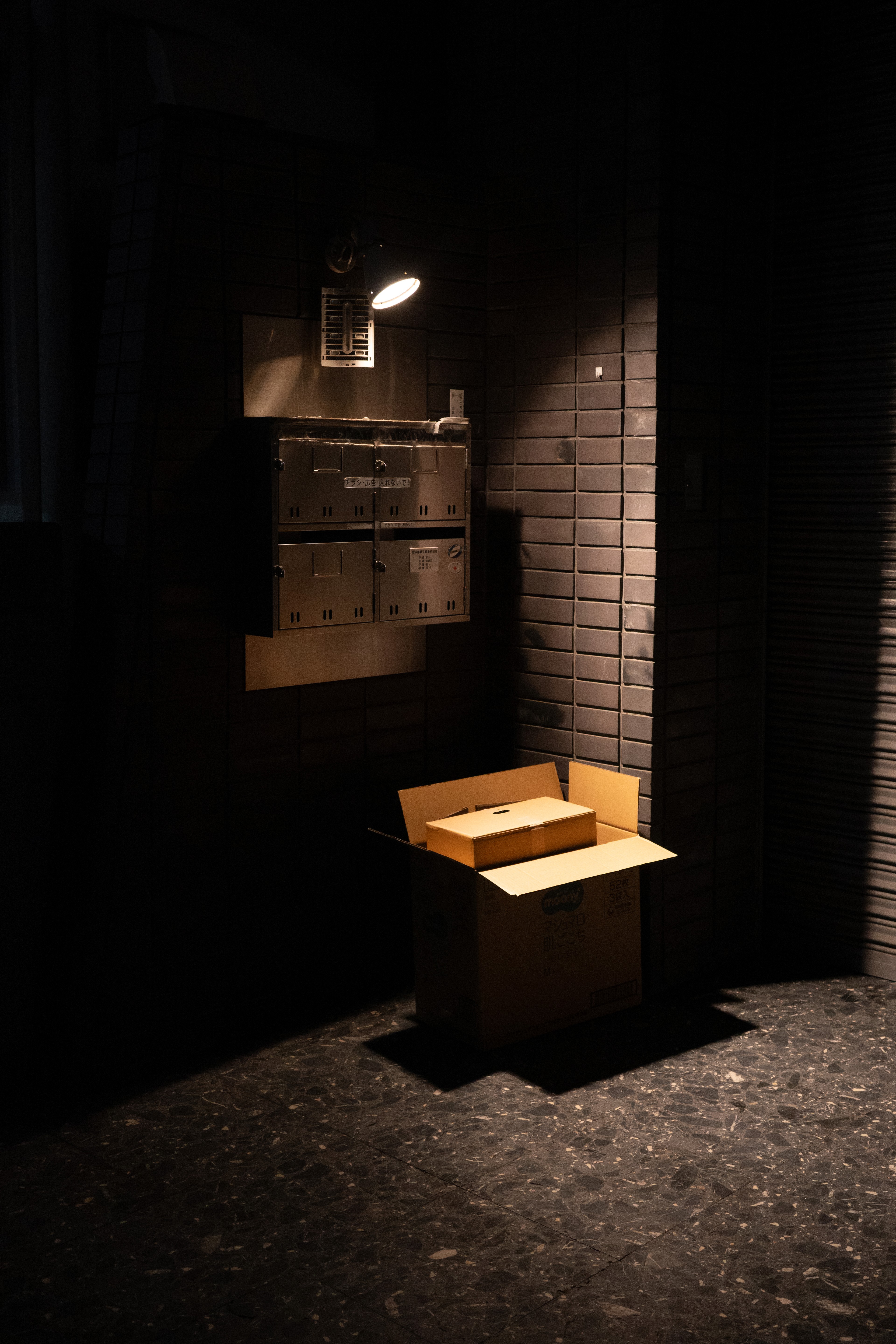 A lantern-lit entrance sits in a dark alley.