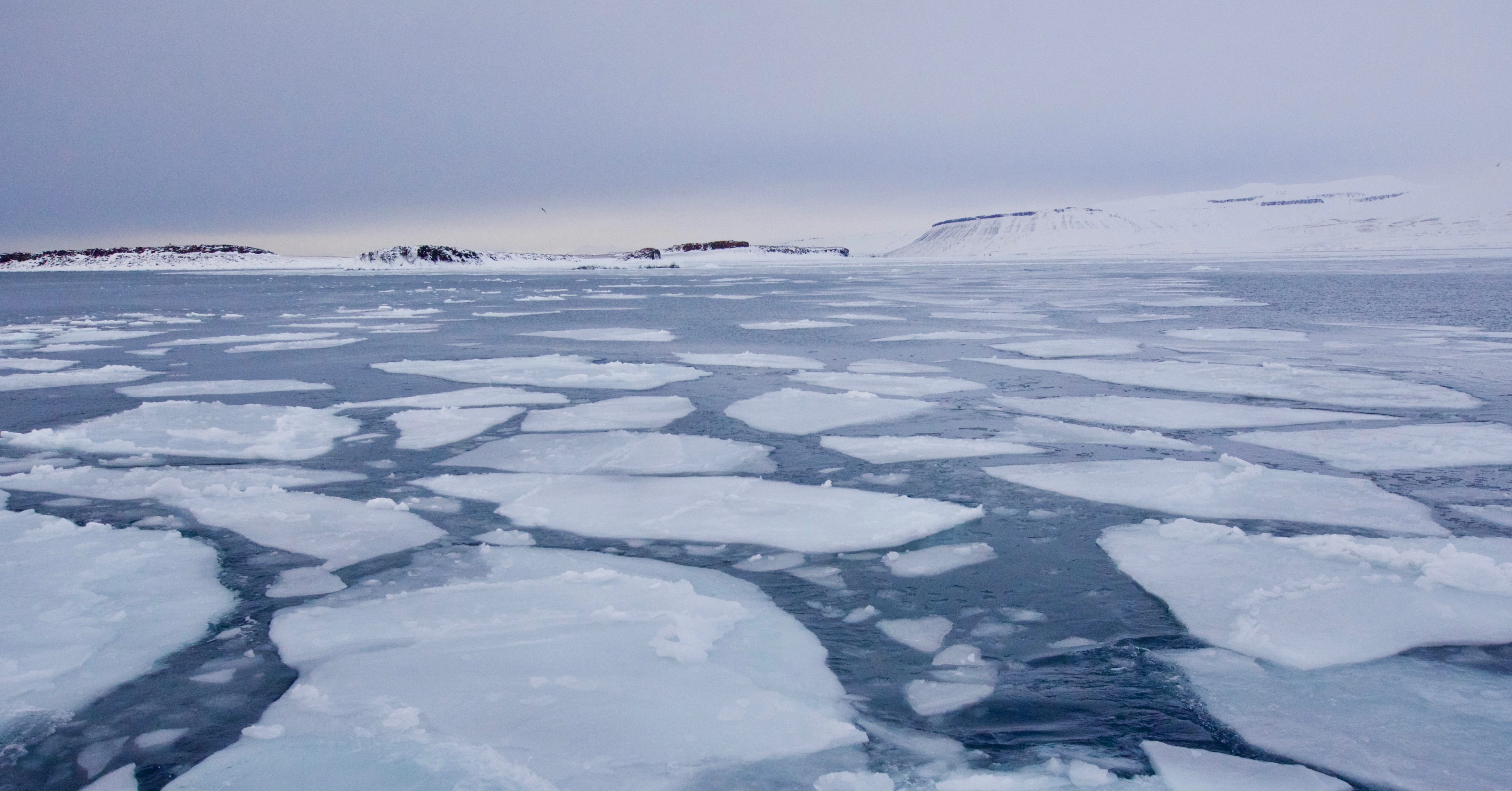 Broken sea ice floats across a polar bay.