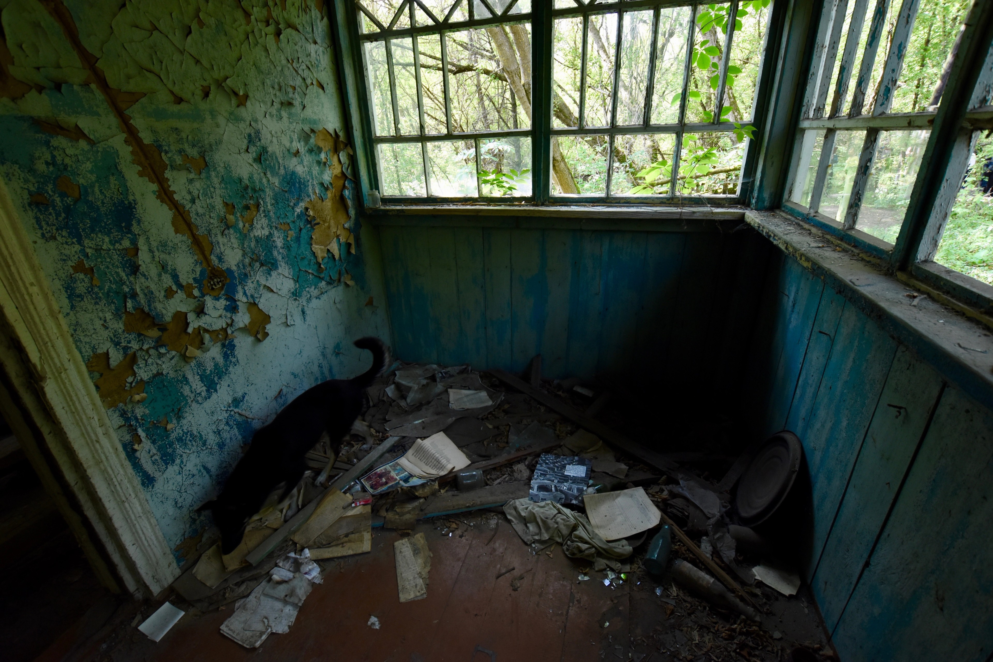 A debris-strewn room with peeling blue walls and large windows.