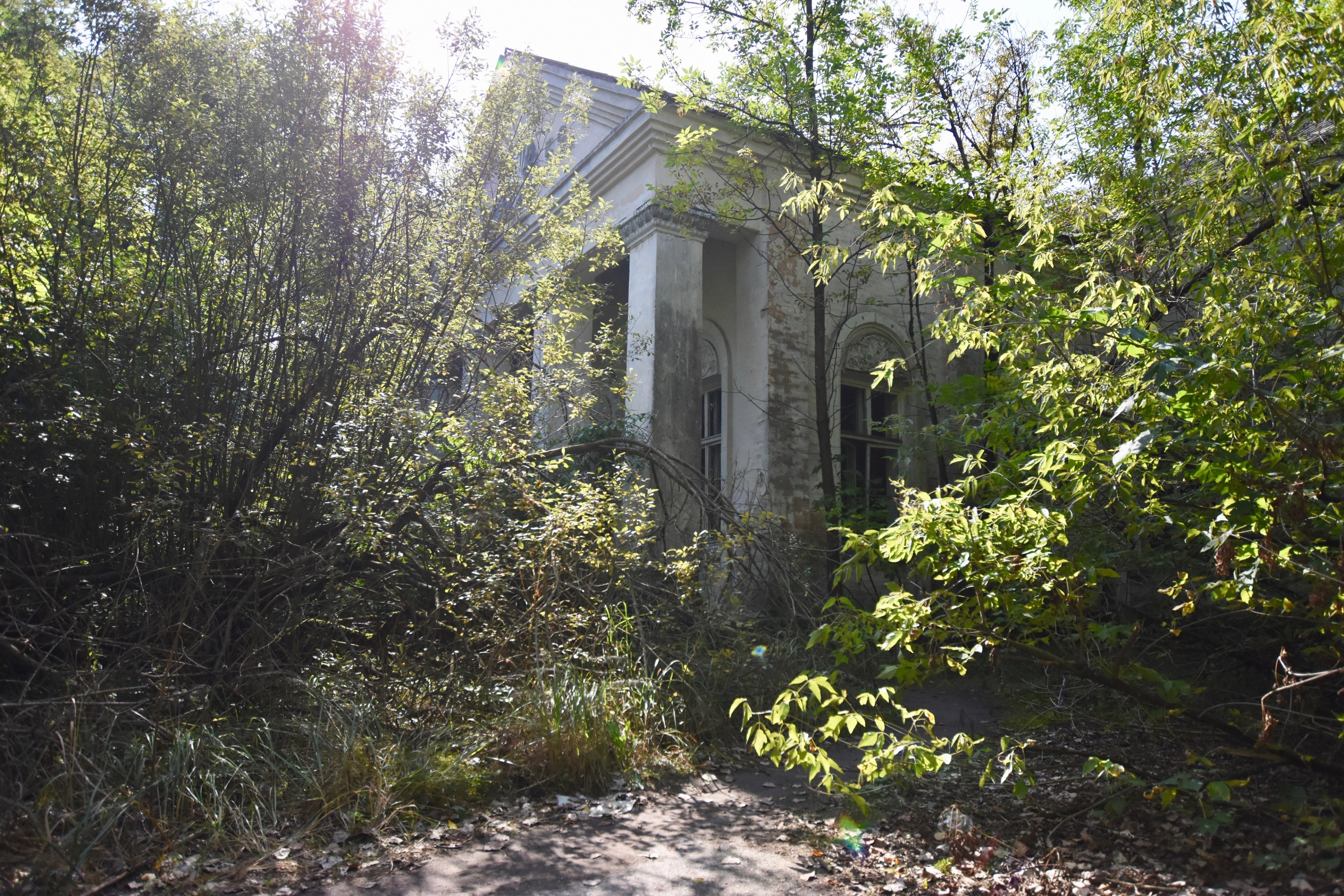 An abandoned building stands among dense green trees.