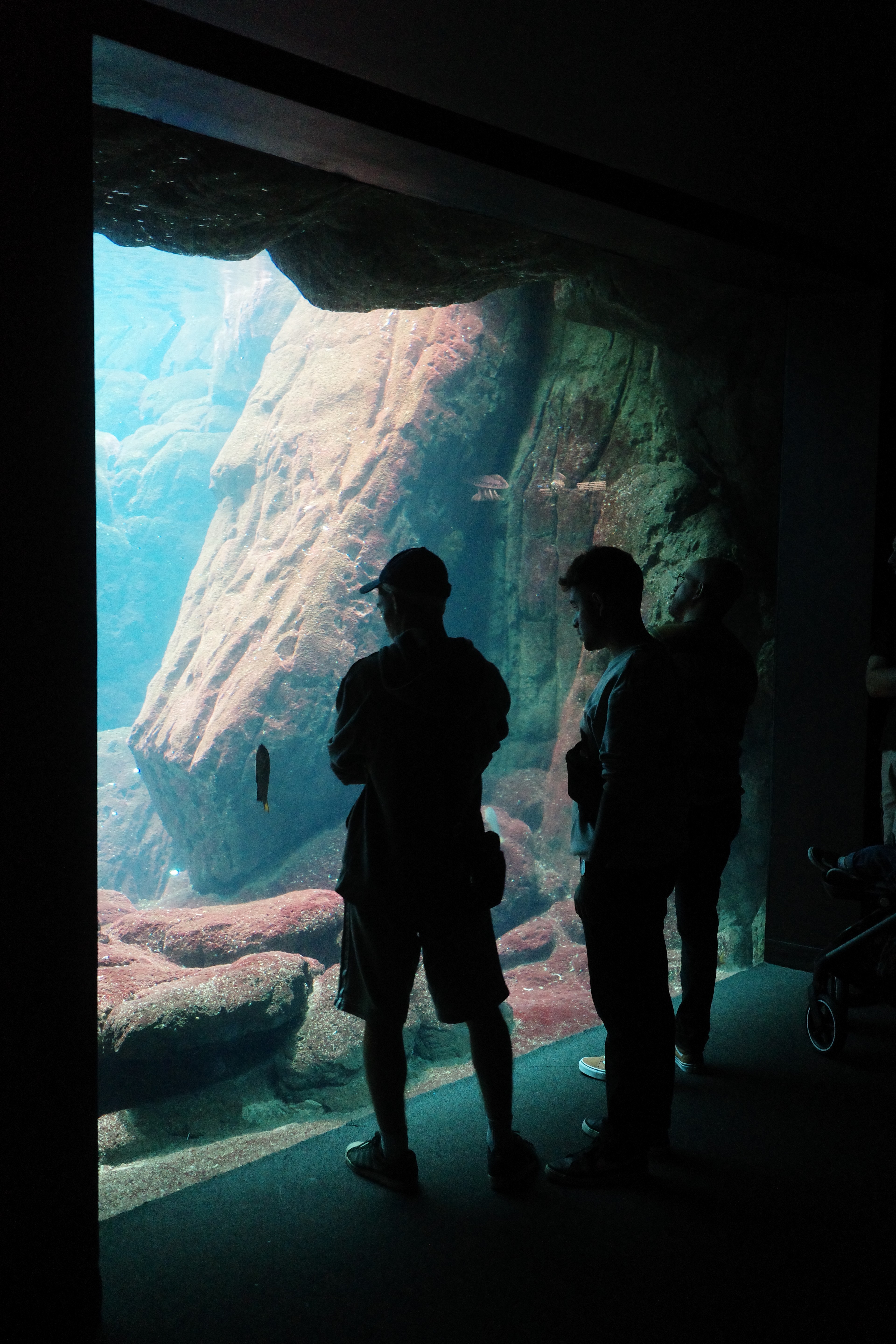 Two visitors stand silhouetted before a glowing blue display in a dark gallery.