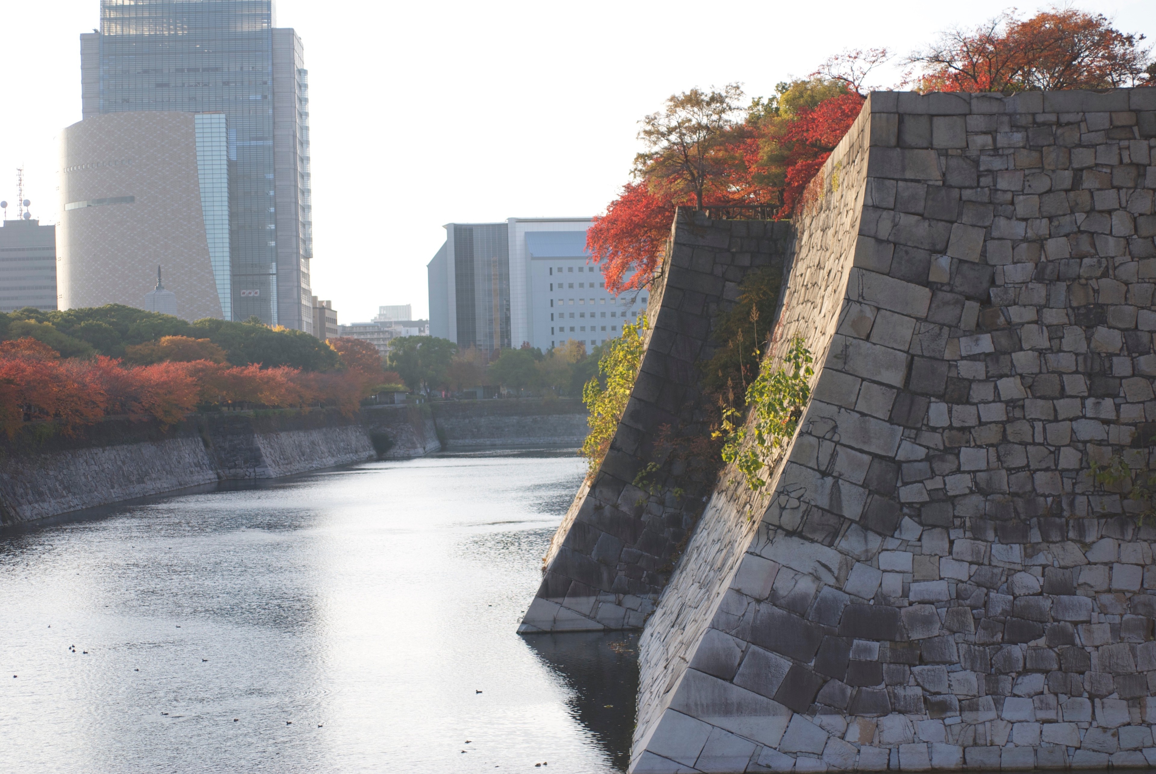 A stone castle wall borders a calm moat beside modern buildings and autumn foliage.