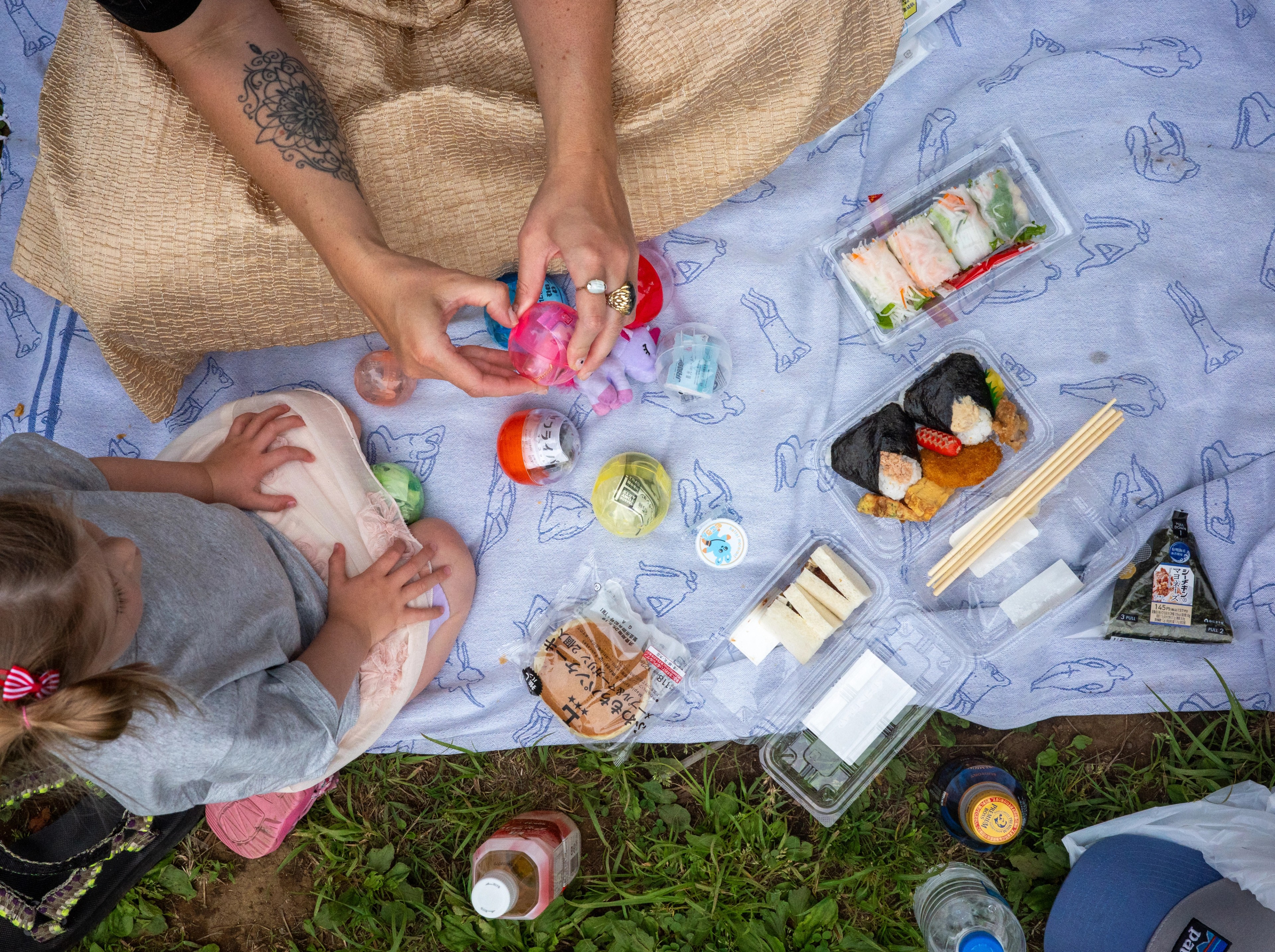 A family picnic spread viewed from above.