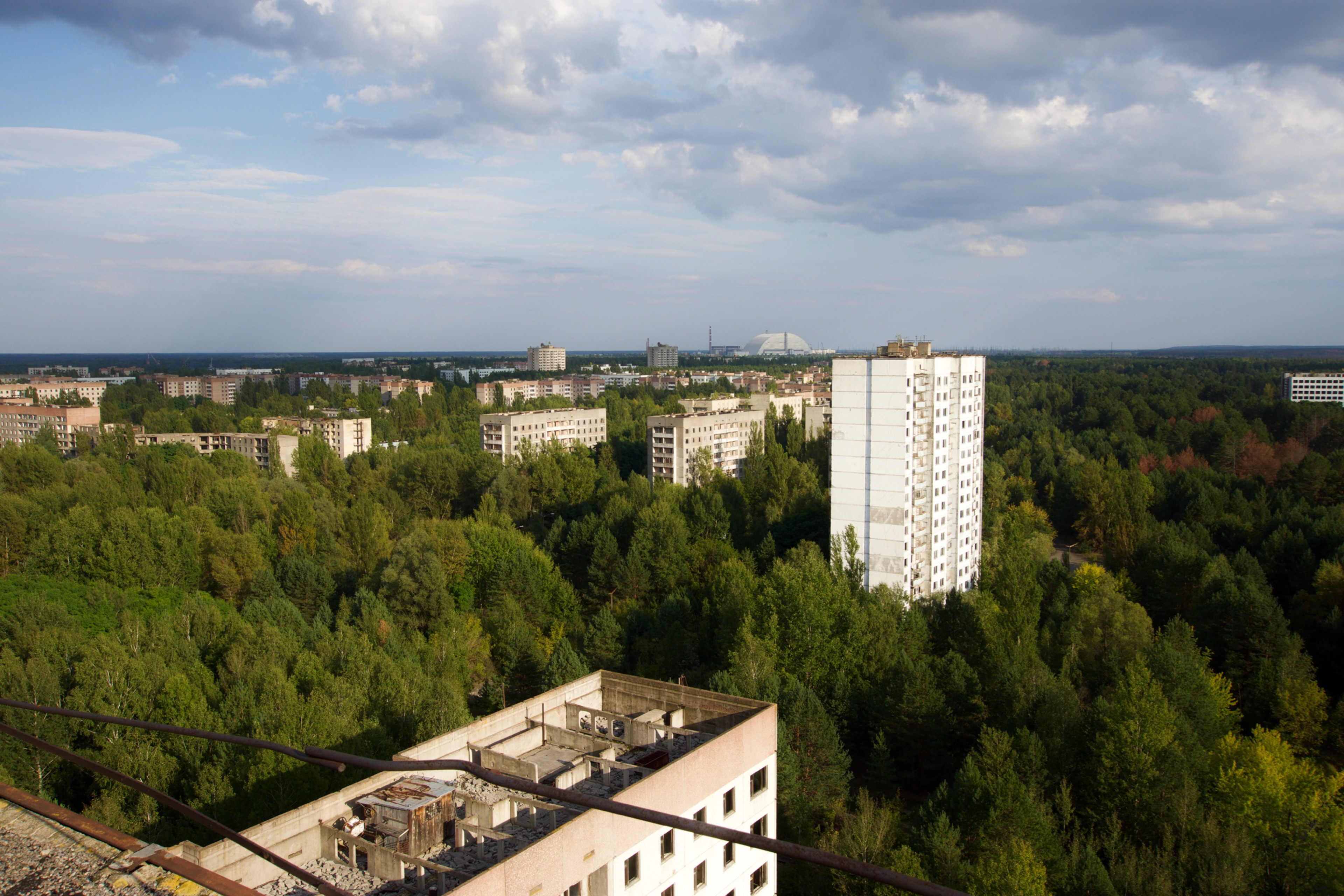 A lone high-rise rises above a broad forest canopy.
