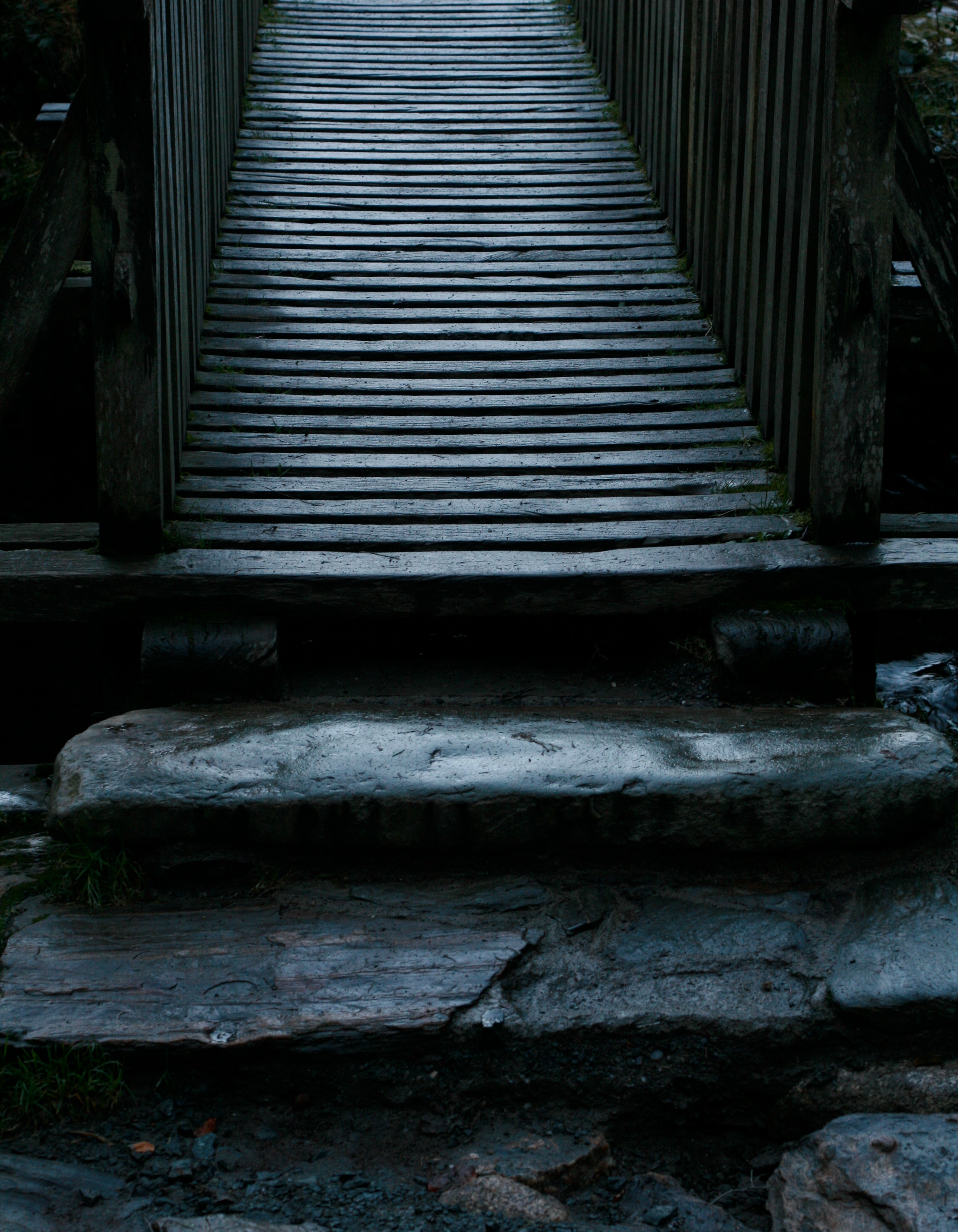 A narrow wooden footbridge crosses above stone steps in a shaded forest.