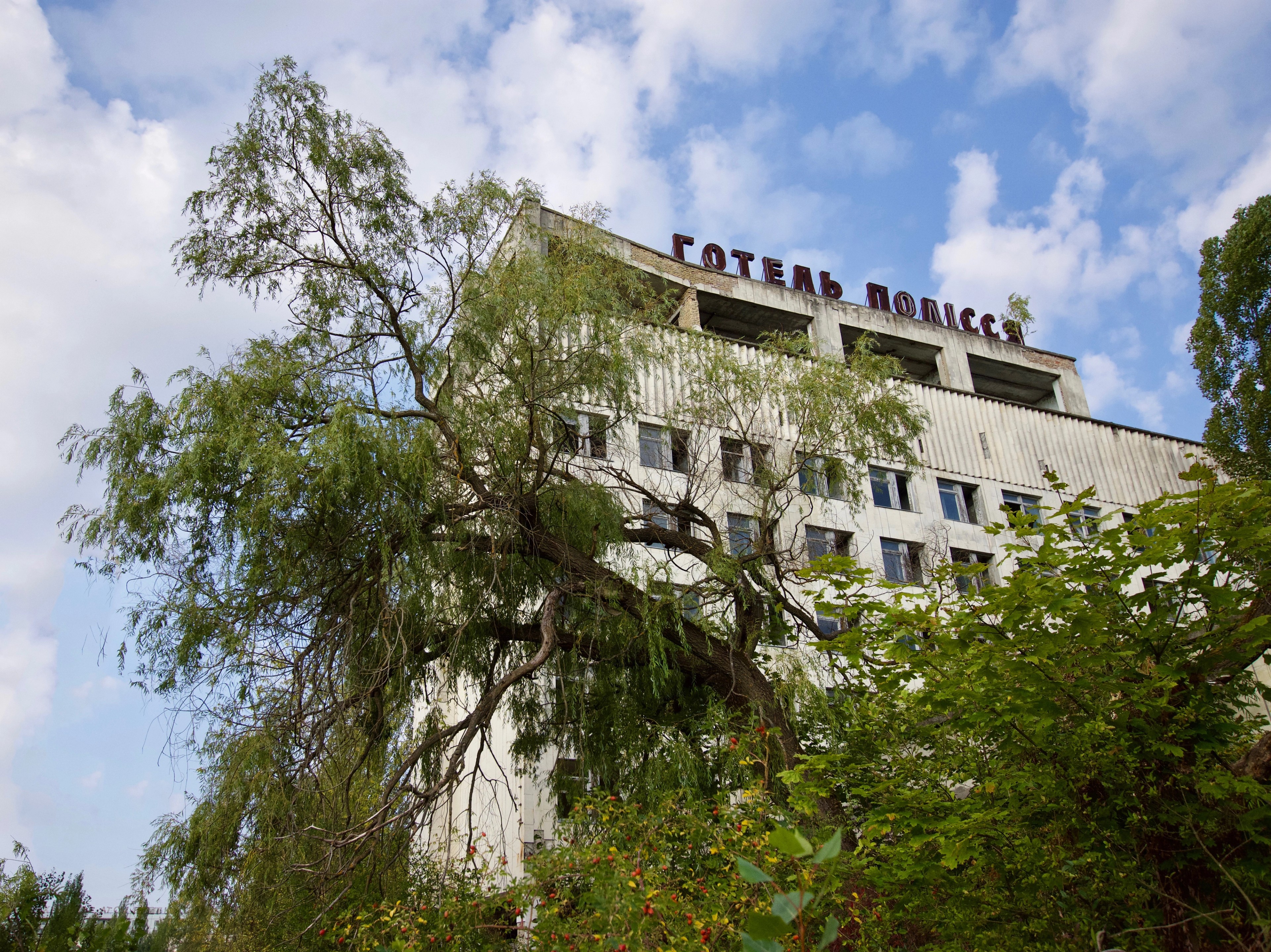 A white apartment block stands behind overgrown trees.