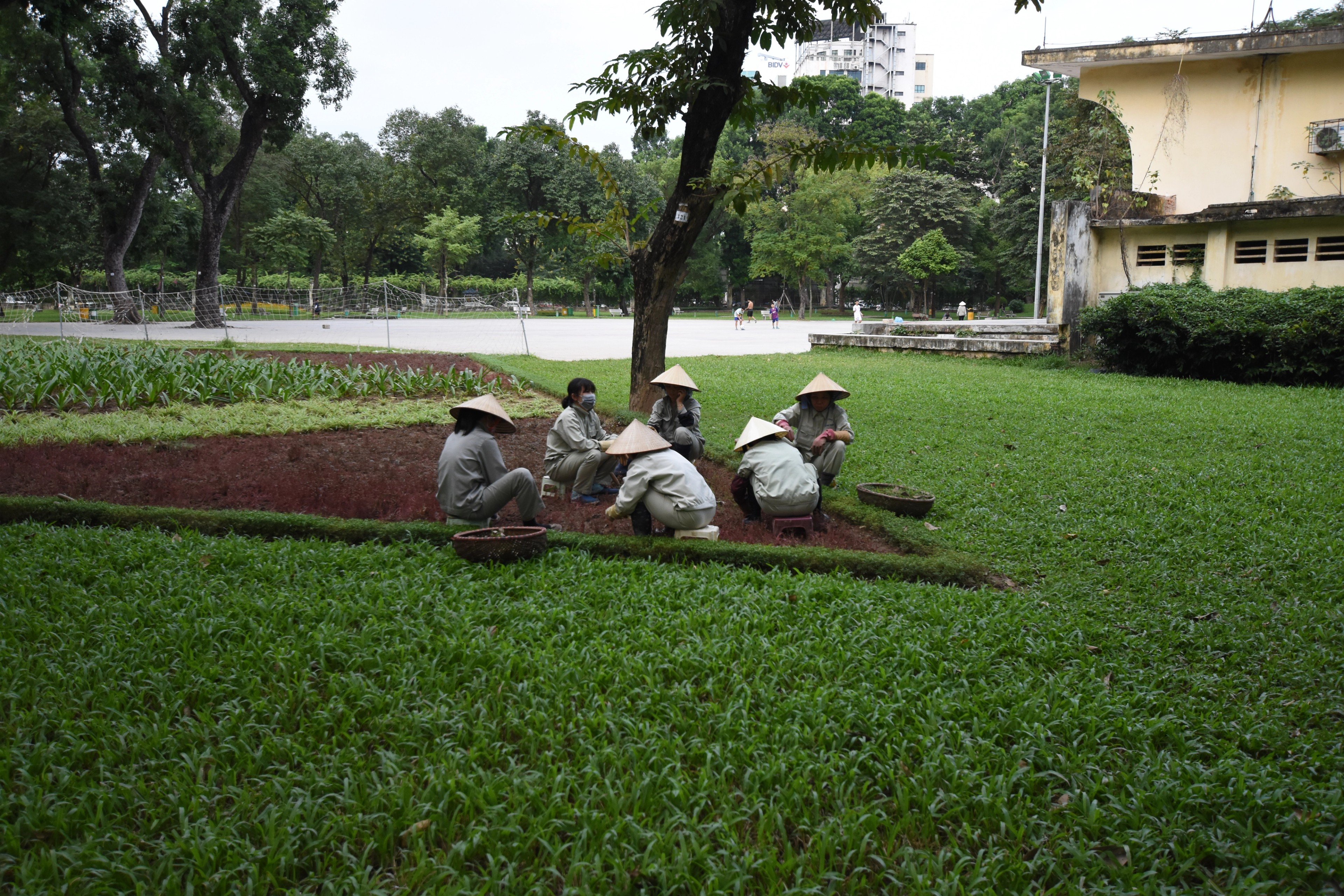 A few people sit on a broad lawn beneath trees in a city park.