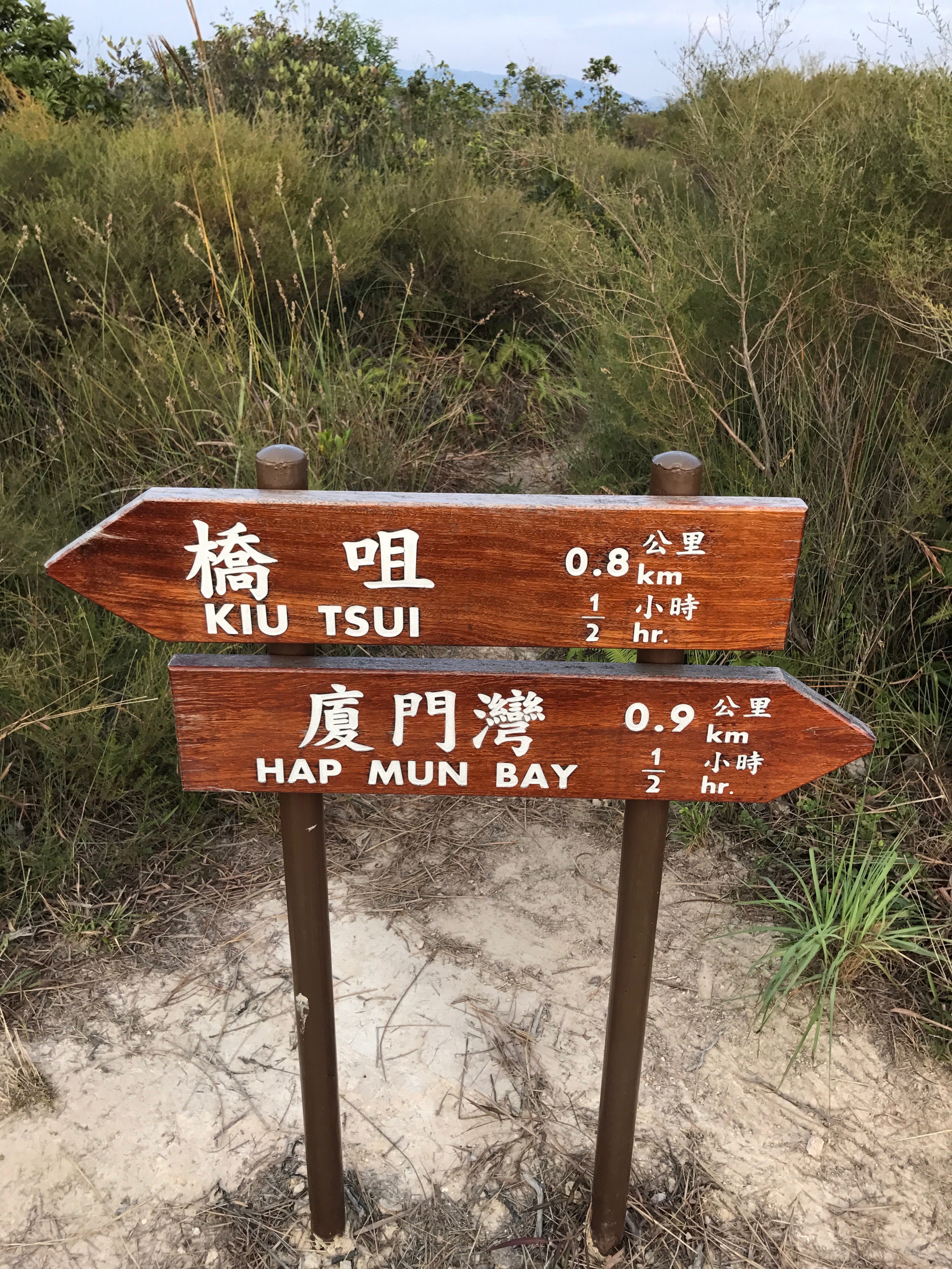 A signpost with bilingual place names stands among tall grasses.