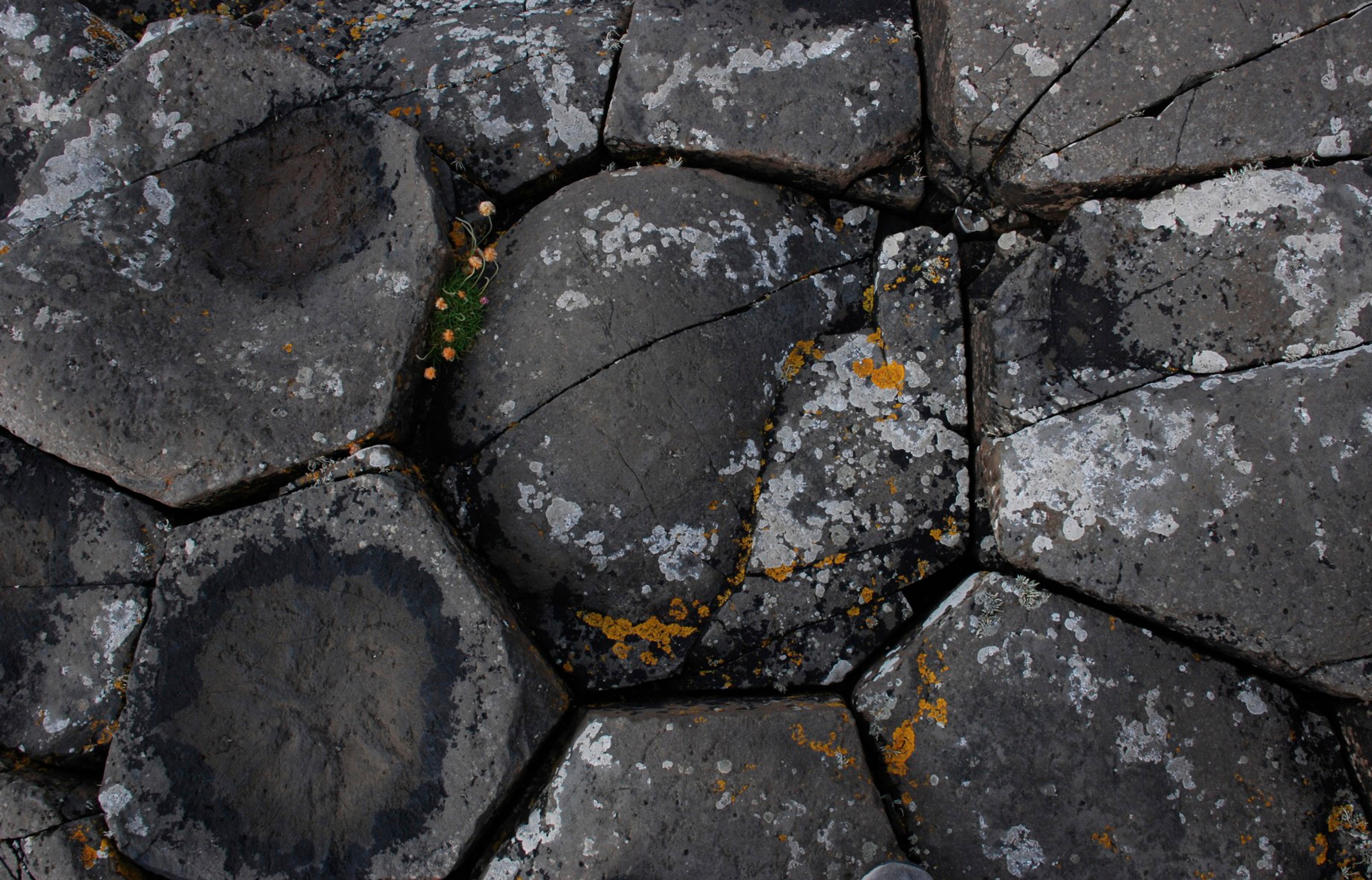 Large dark basalt columns form an interlocking pattern at the Giant’s Causeway.