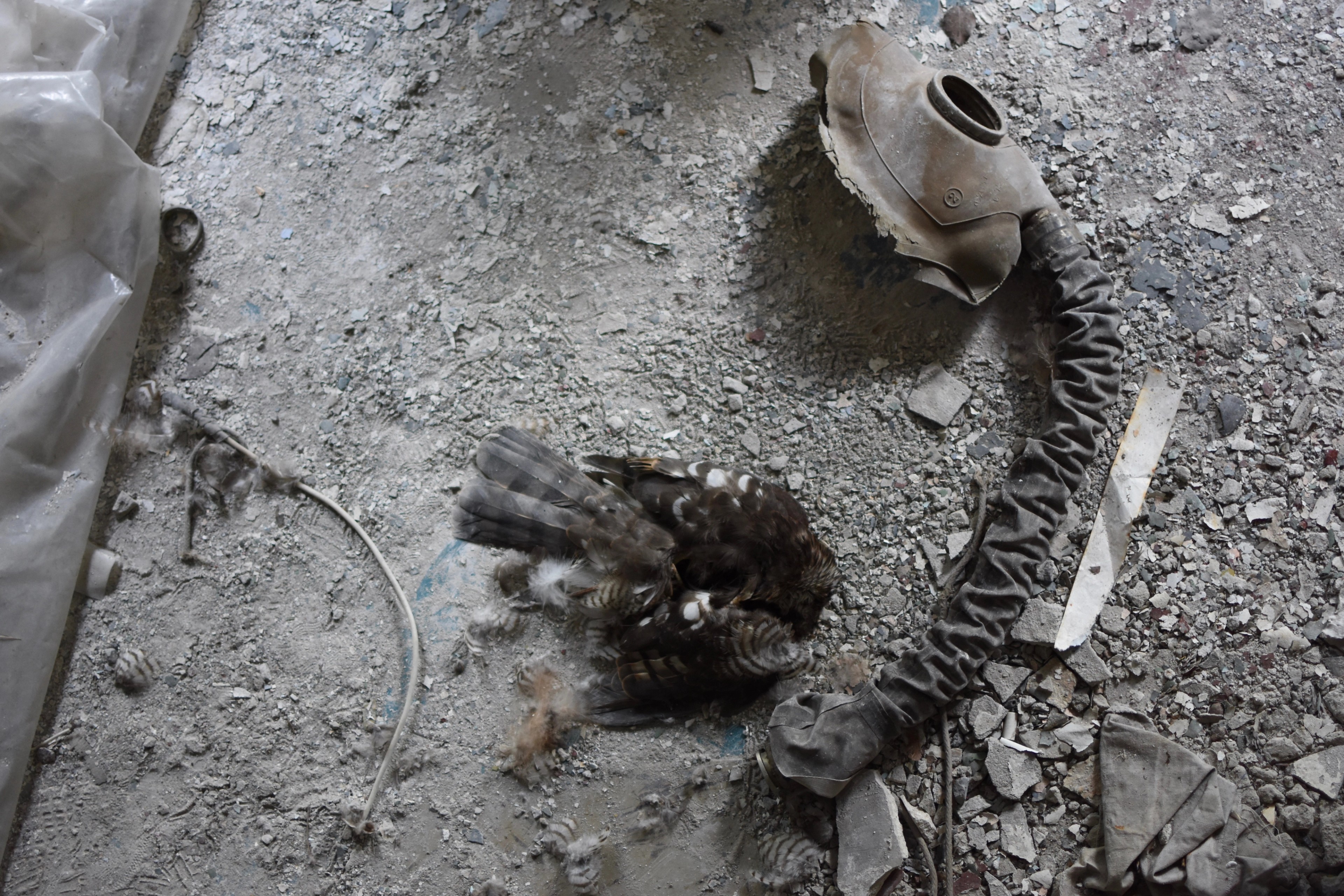 Small objects and rubble scattered across a concrete floor.