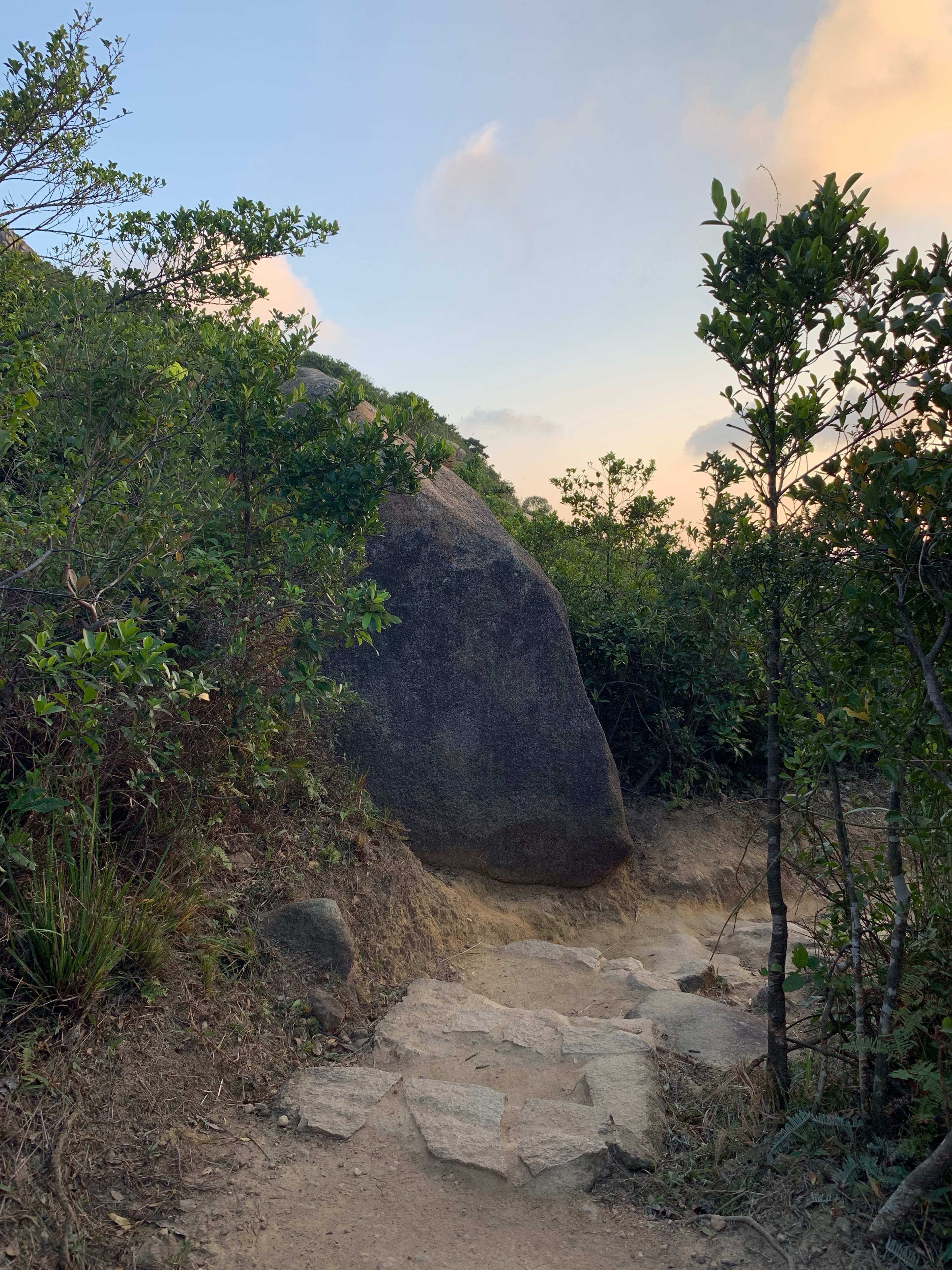 Stone steps and rocks along a shaded trail through trees.