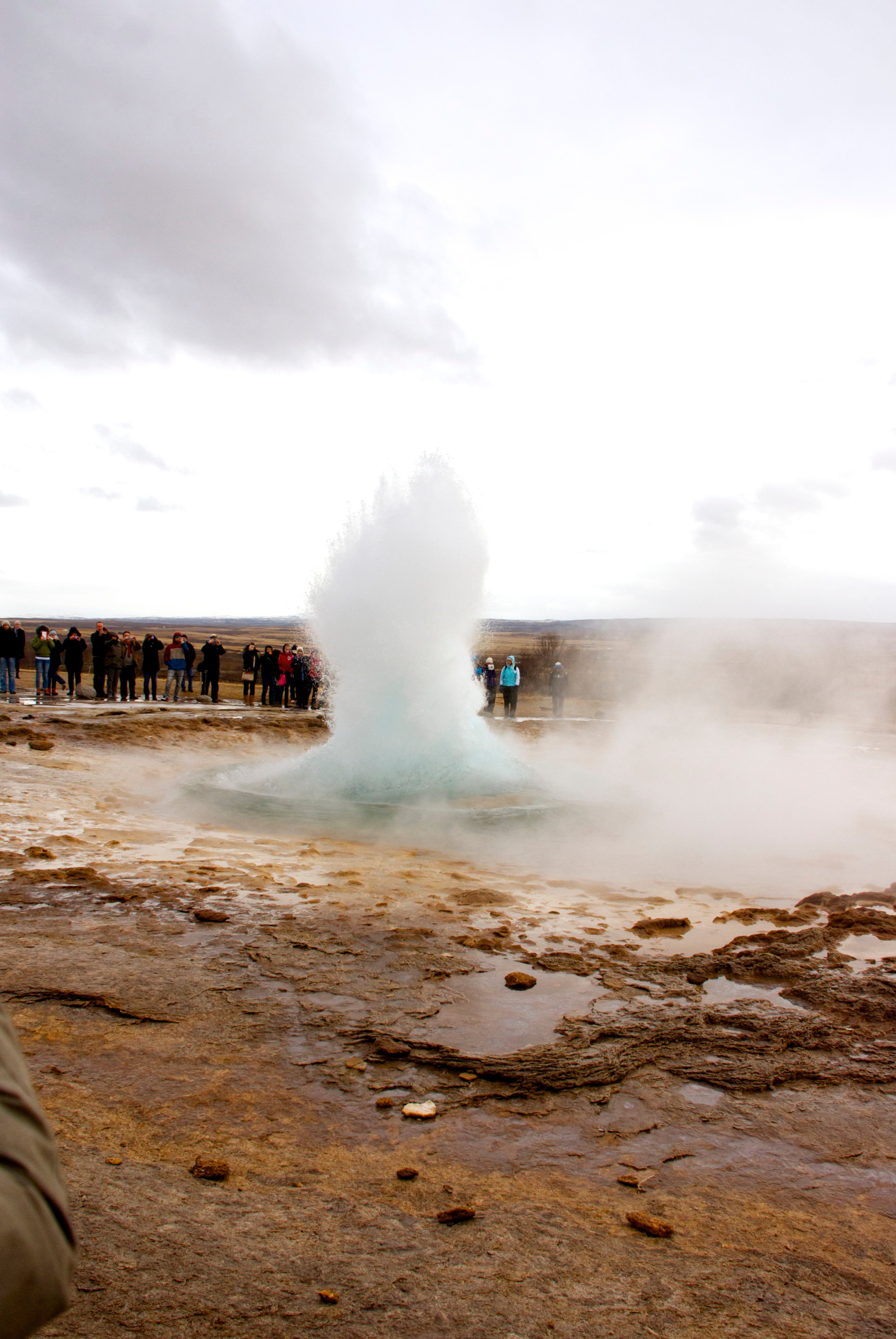 A geyser sends a plume of water and steam into the air.