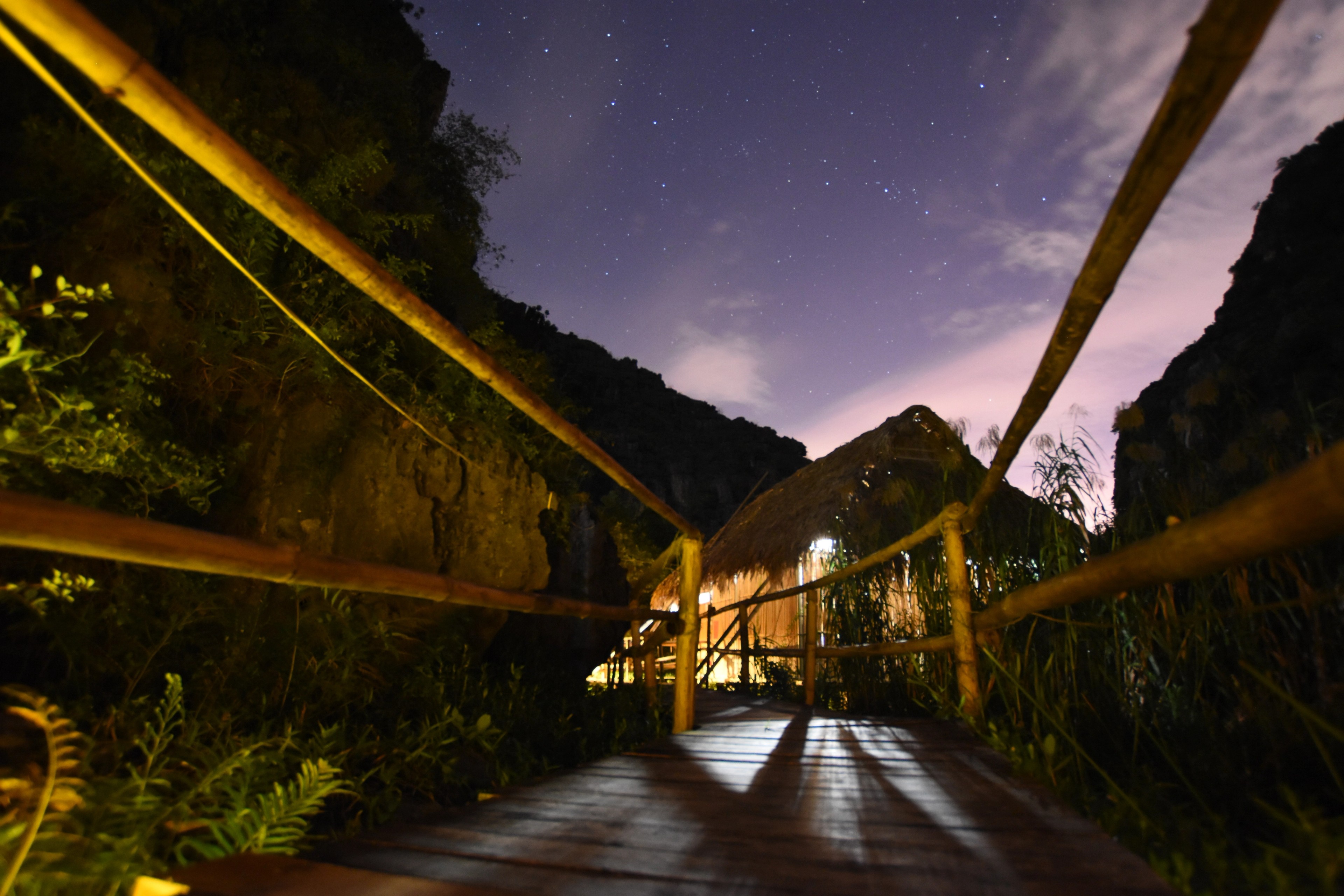A wooden footbridge glows with warm lights beneath a starry night sky.