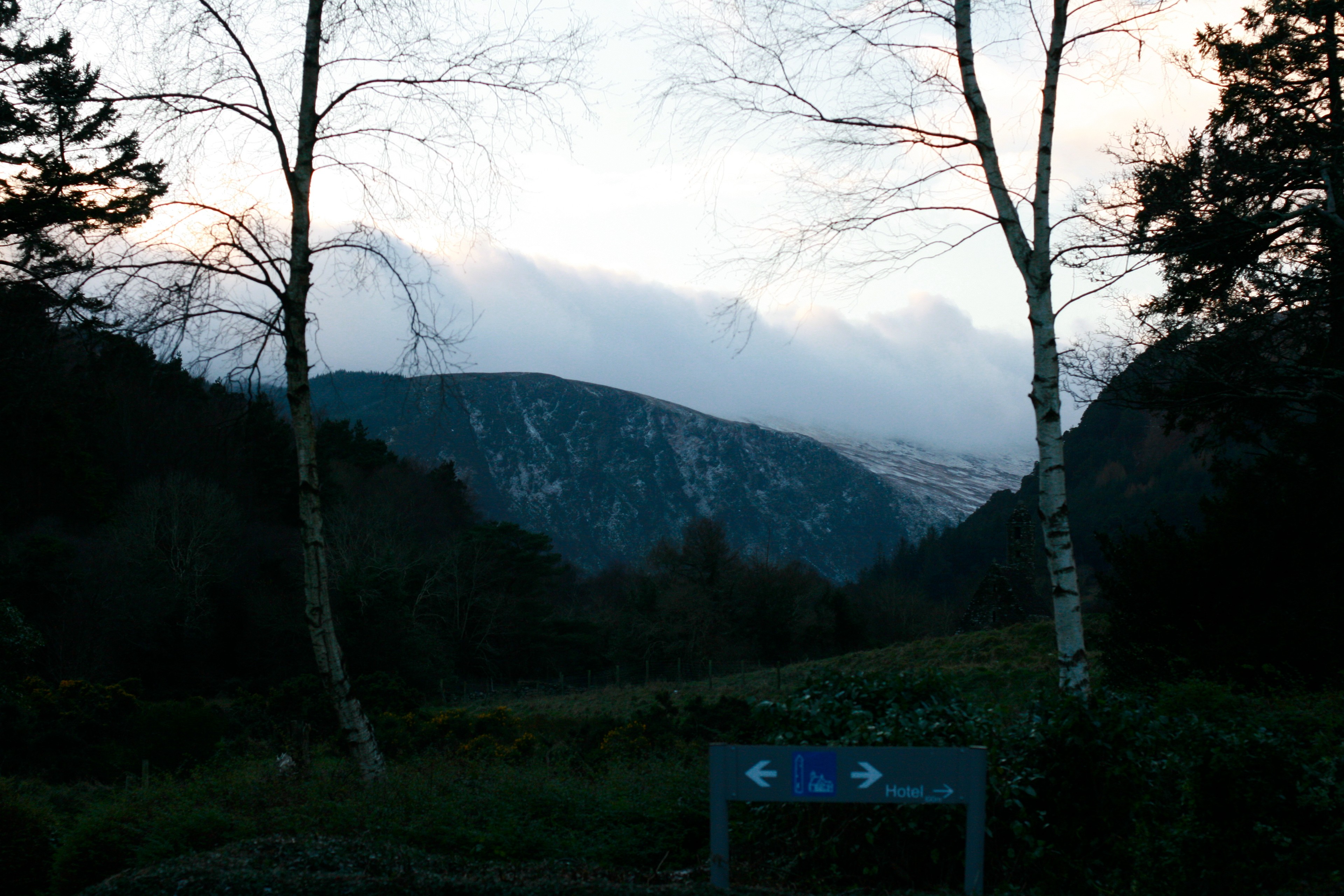 A mountain valley is seen through bare trees in the fading light.
