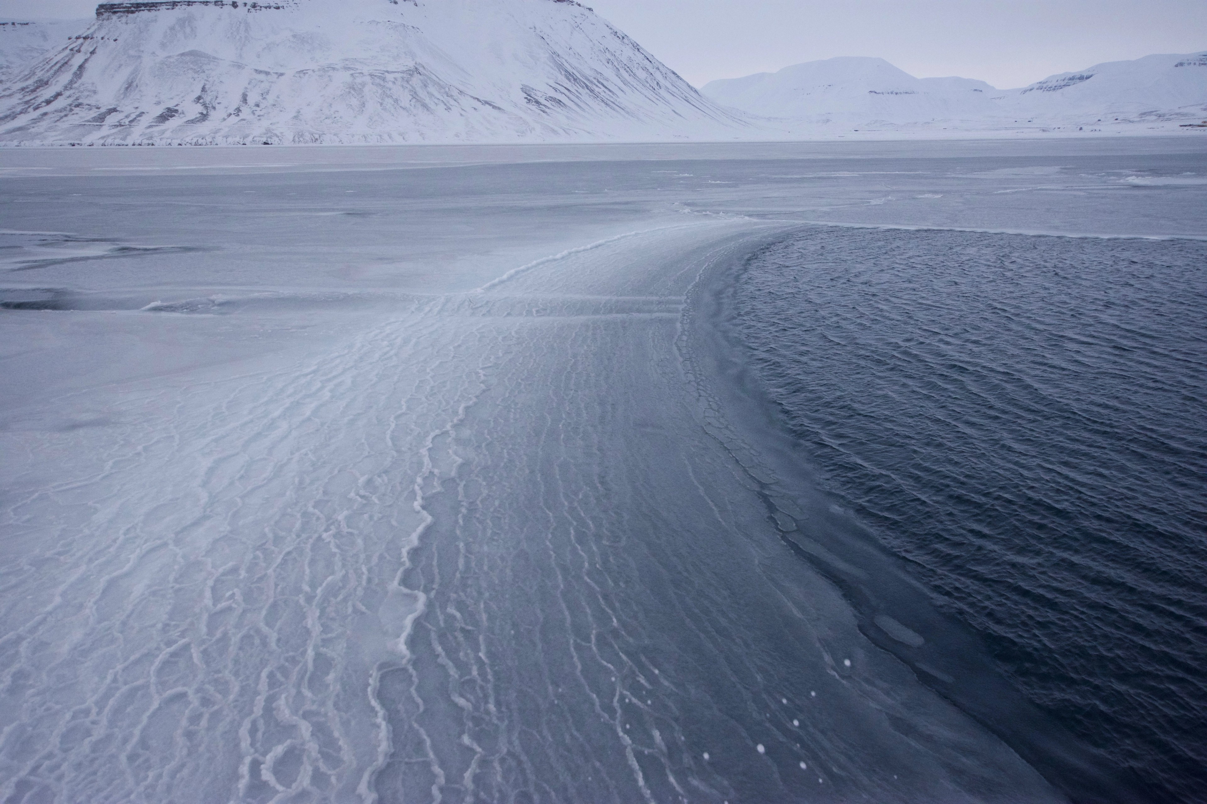An aerial view of curved tracks across sea ice.