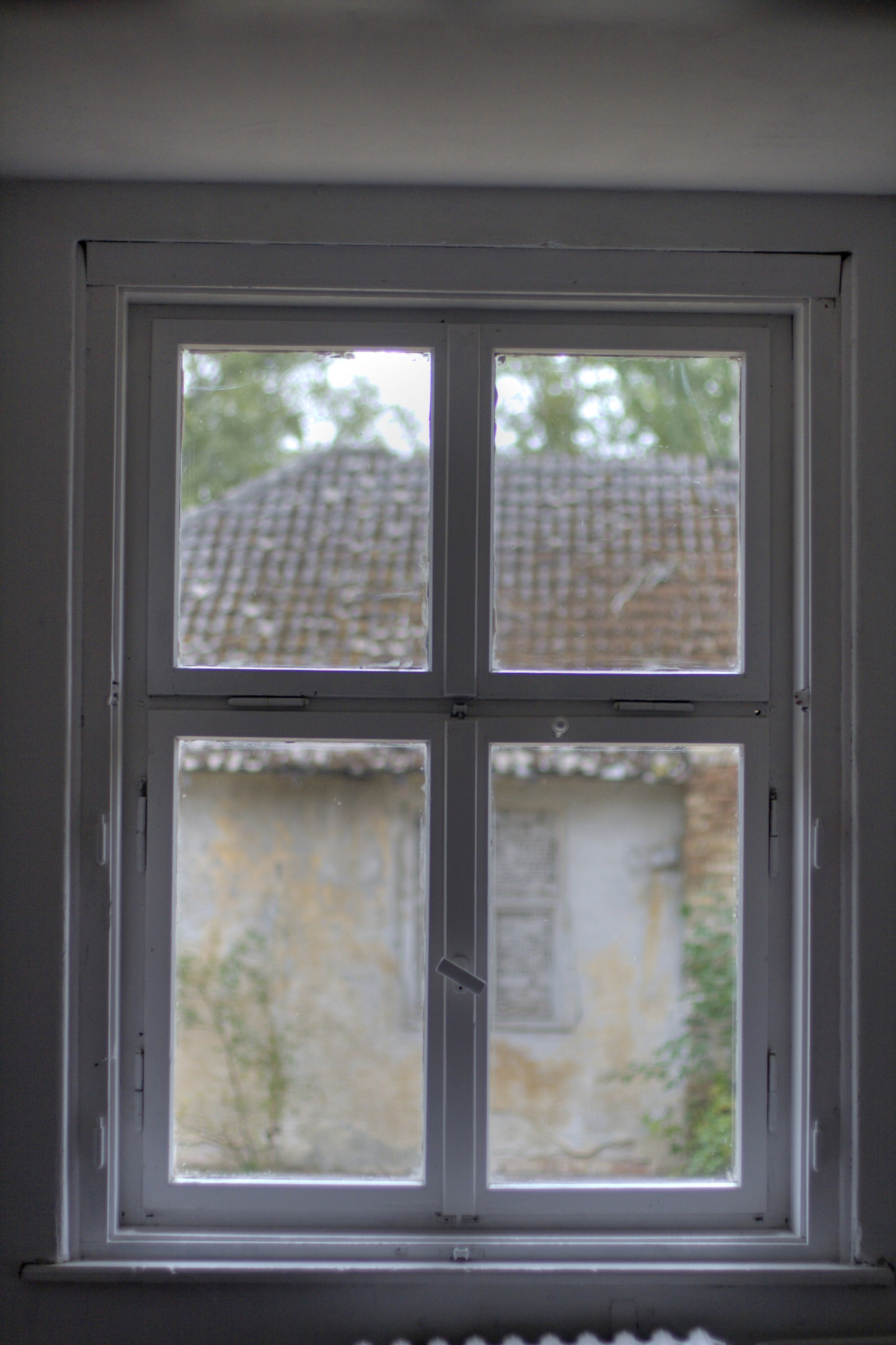 A close view of an old four-pane window with trees visible beyond it.