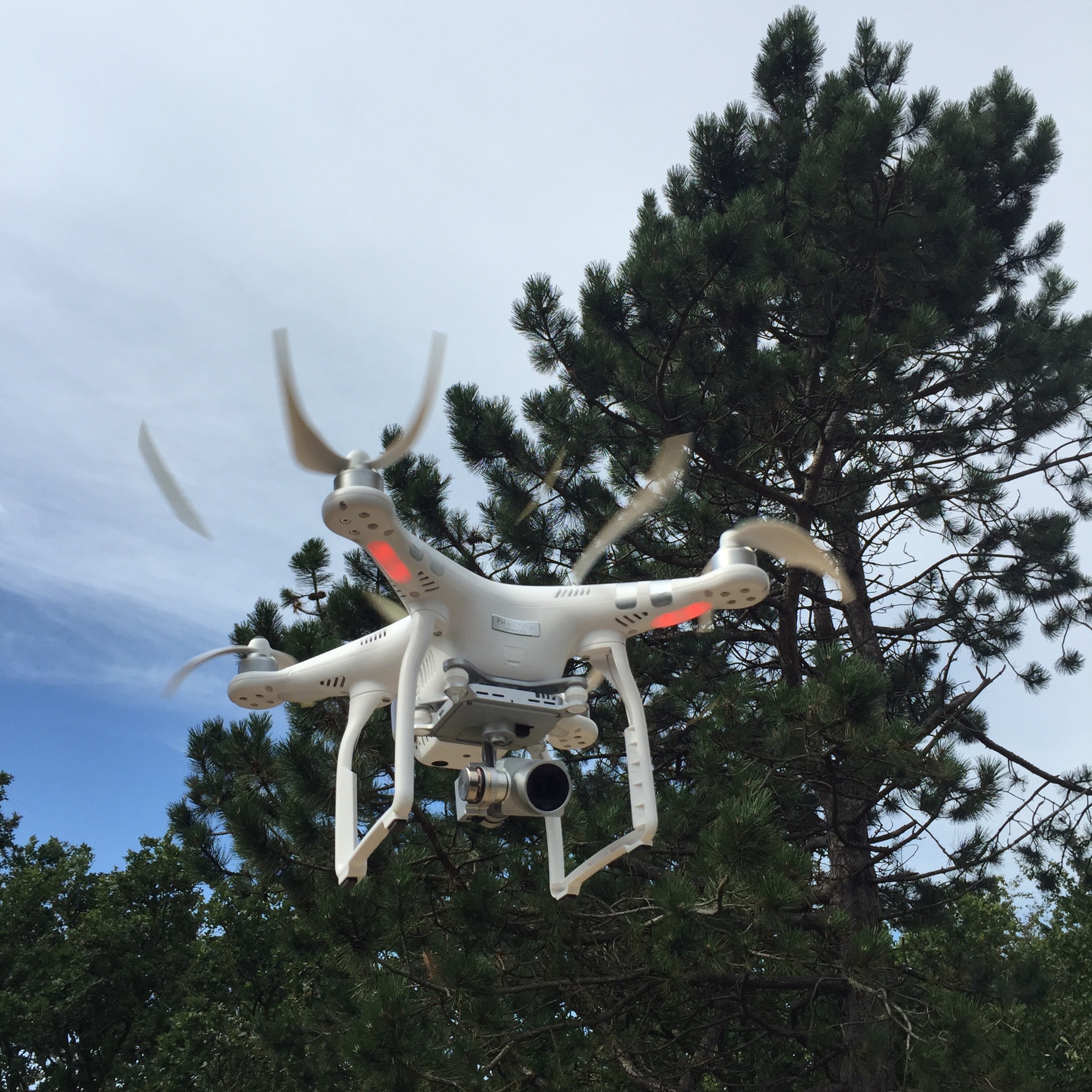 A white quadcopter drone hovers beside a pine tree.