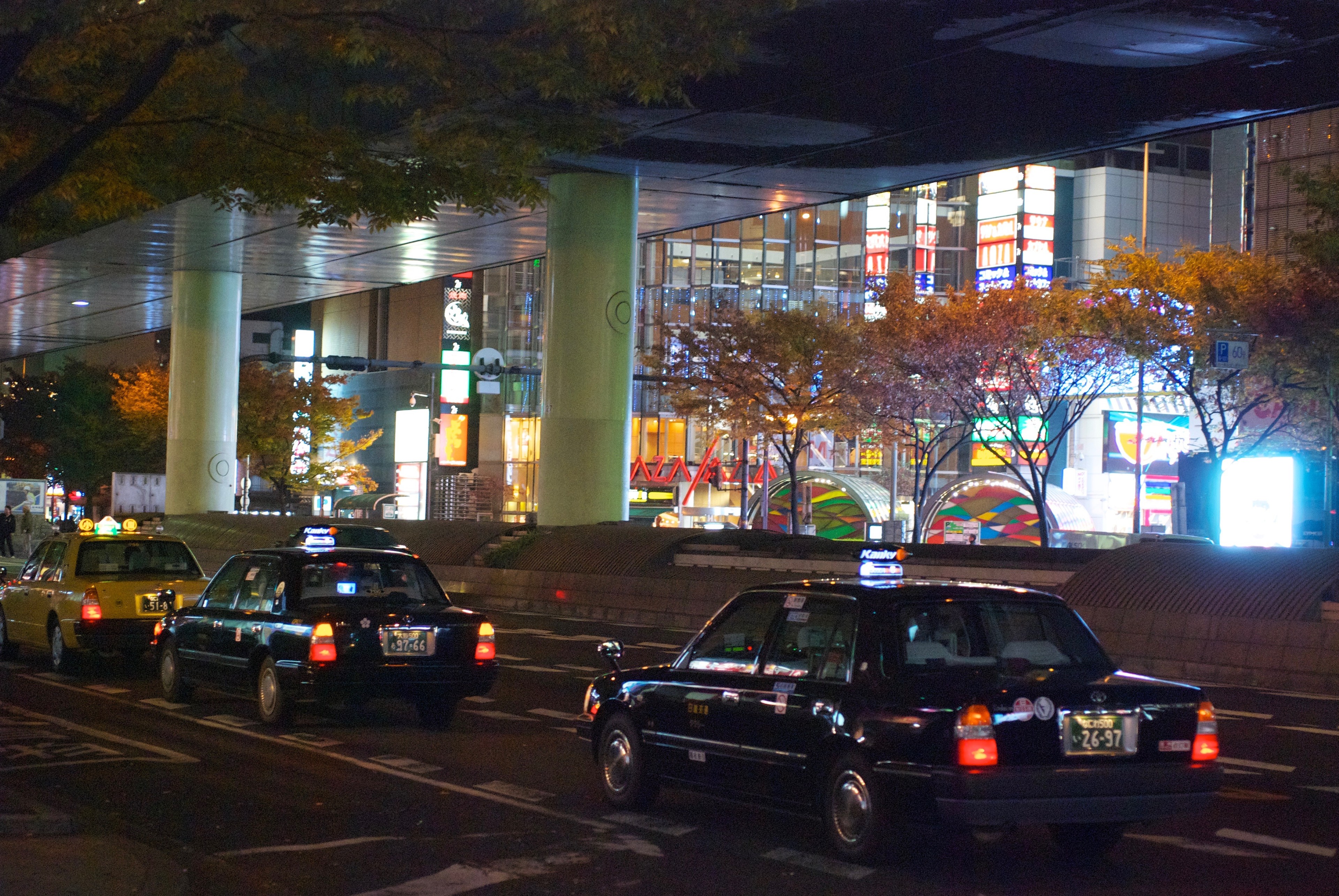 Cars travel along a city road beneath trees and illuminated storefronts.