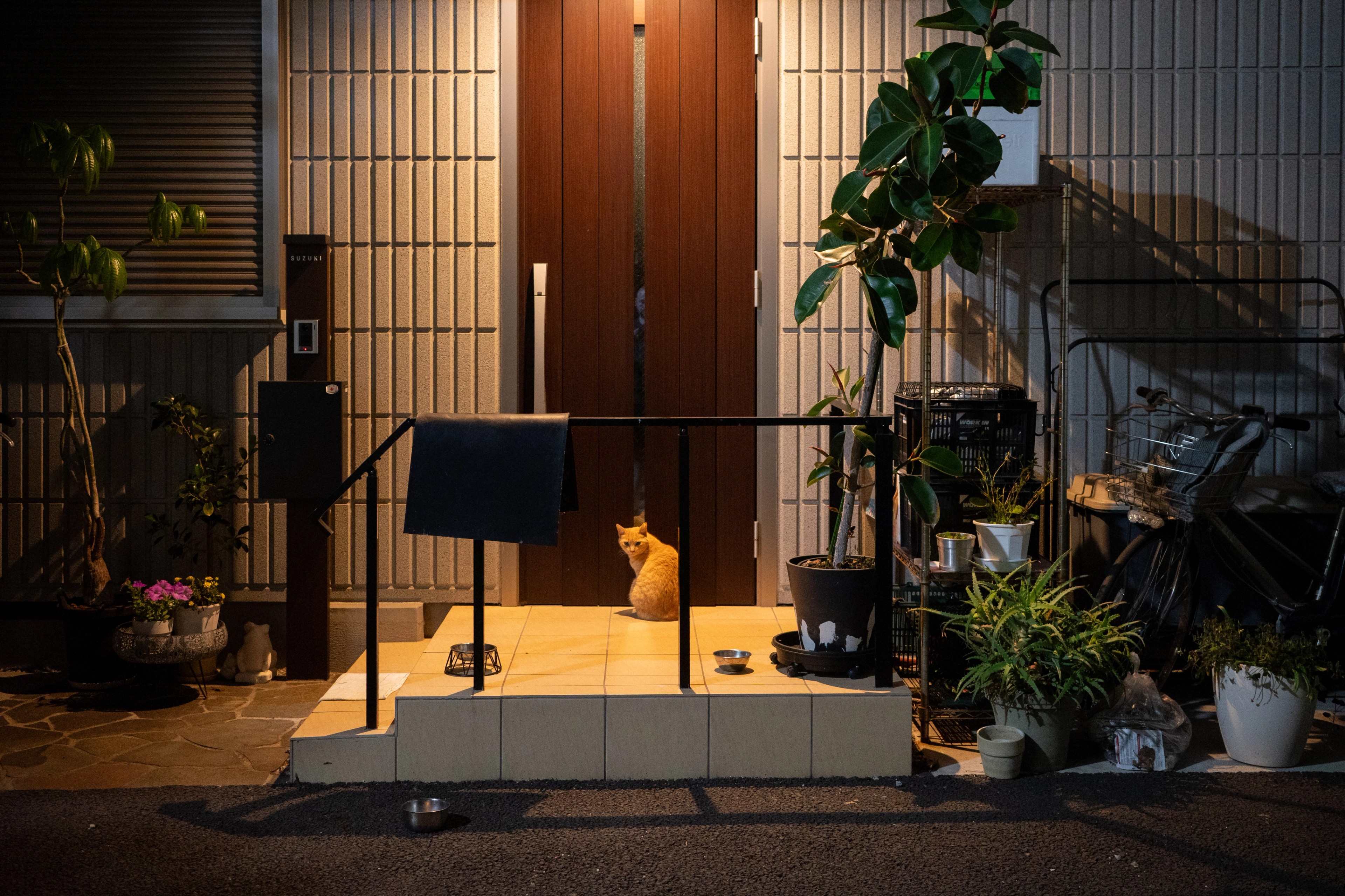 Plants and warm light frame a home entrance.