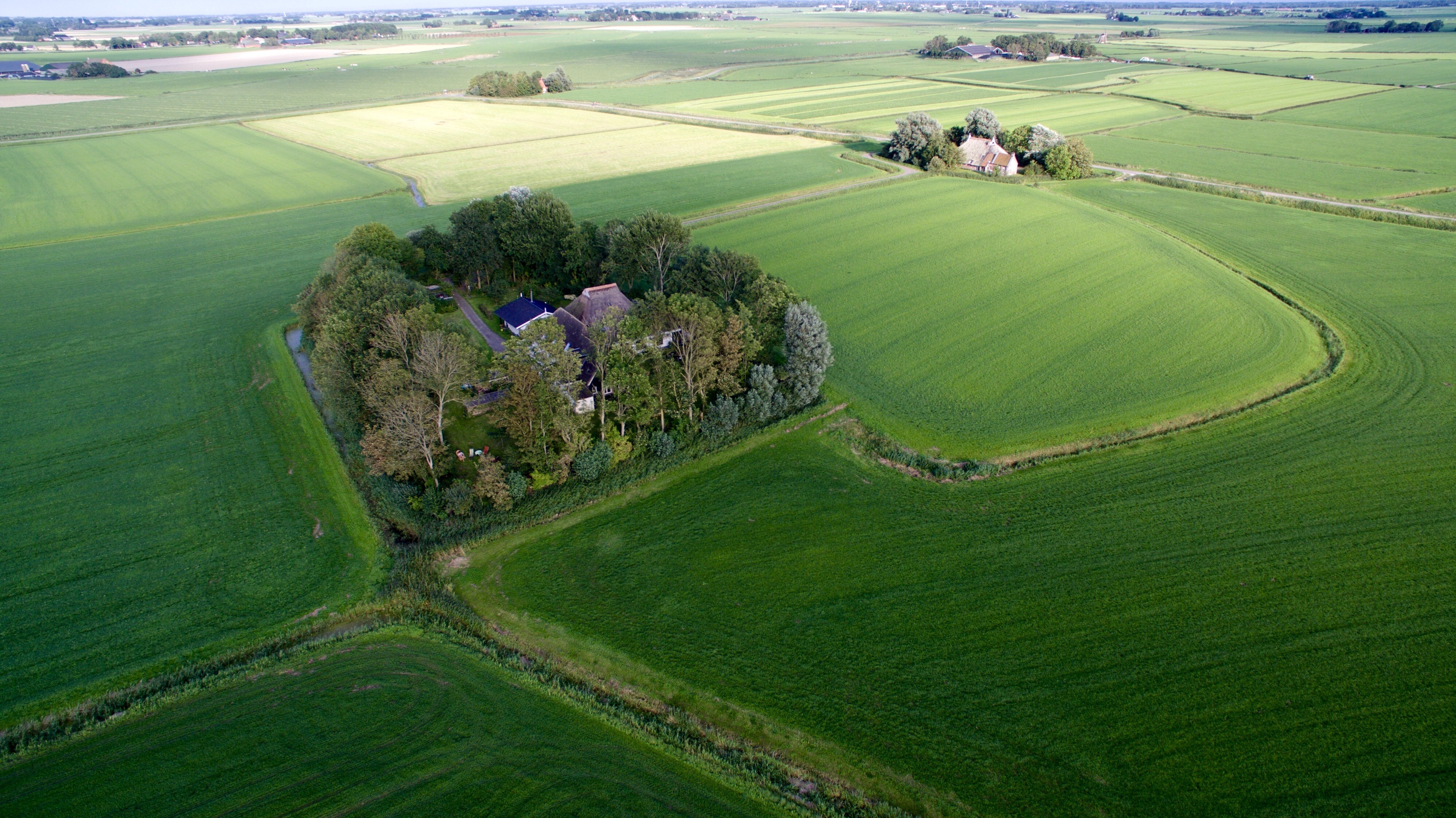 A farm and tree-covered plot sit among cultivated fields.