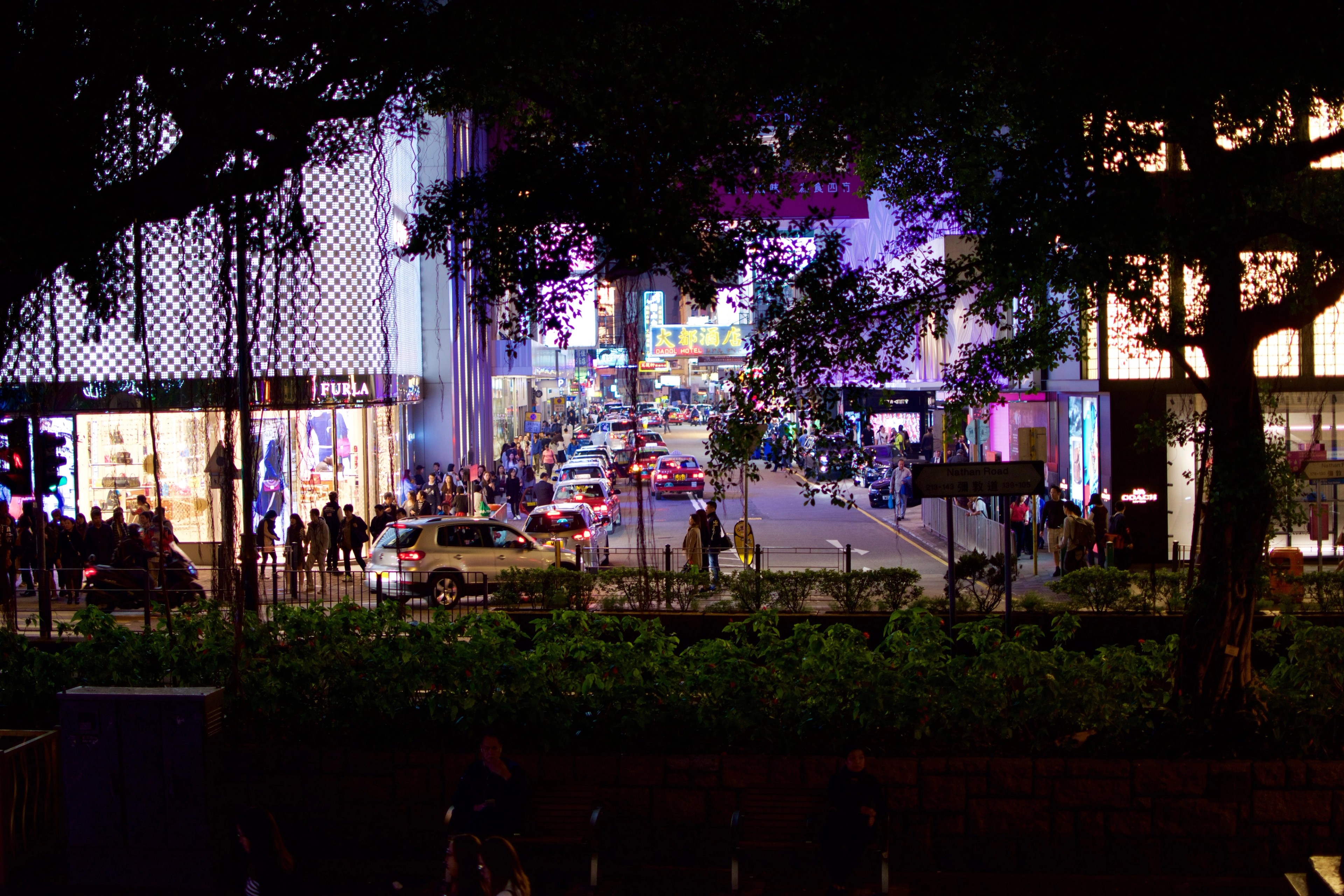 A leafy pedestrian street is lit by storefronts and purple lights at night.