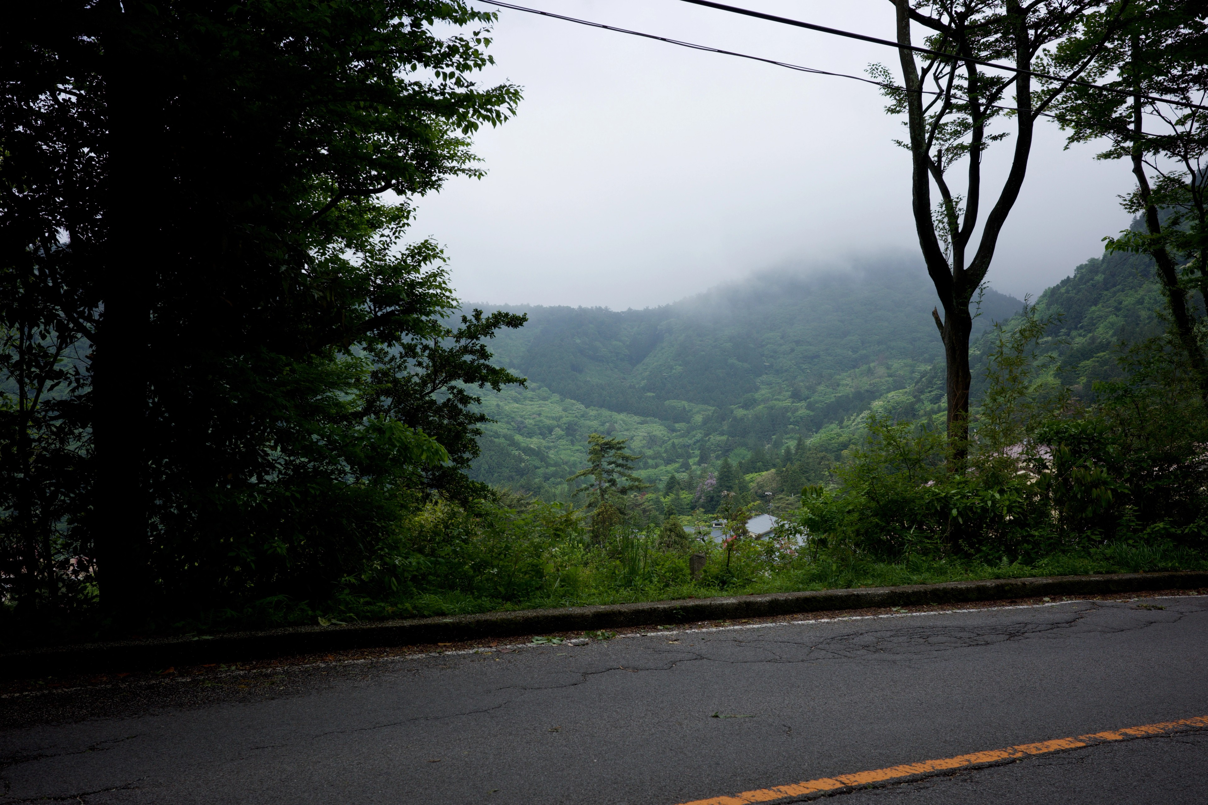 A forested mountain valley under low clouds.