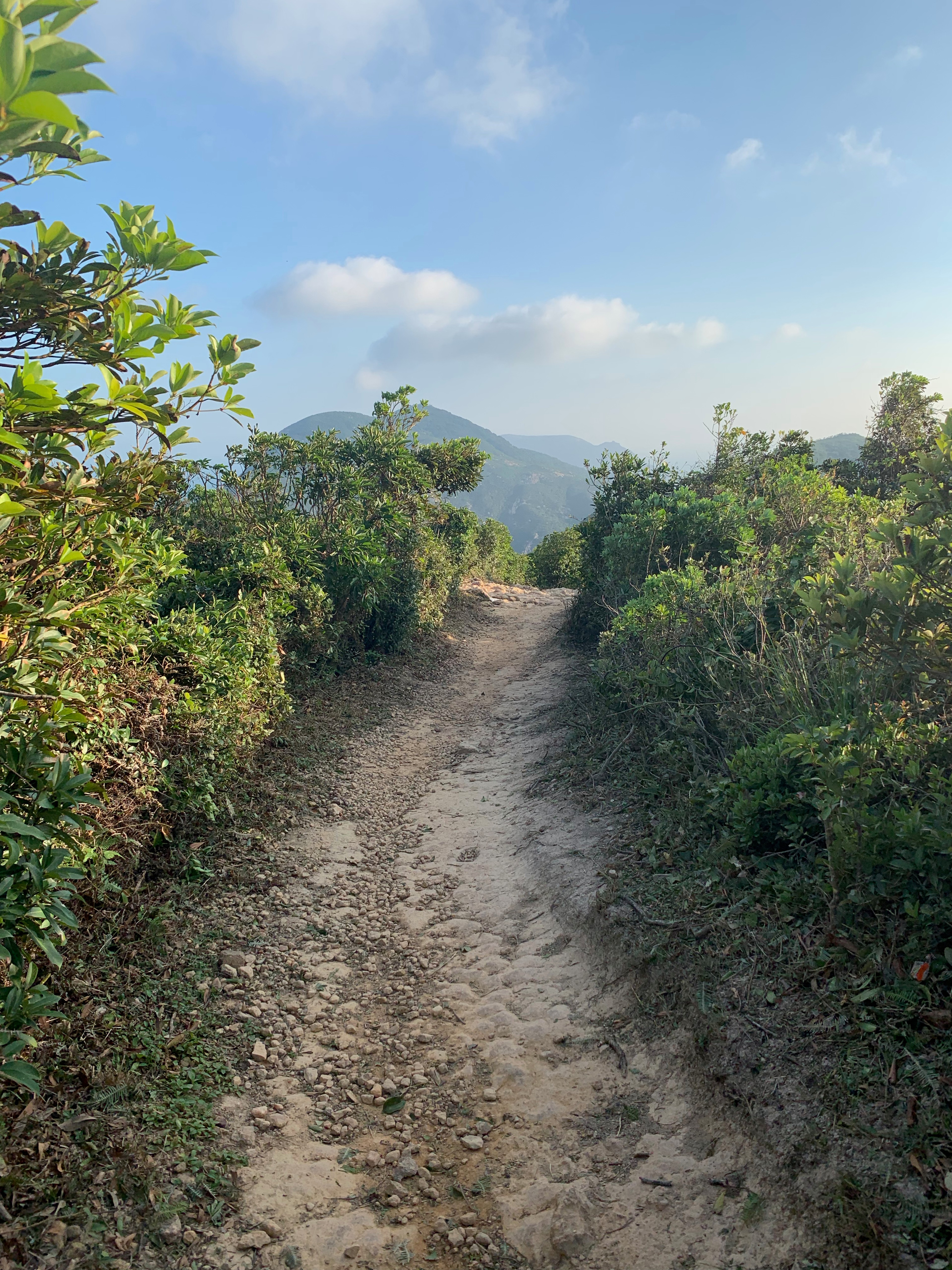A narrow hiking path curving between green brush and a hillside.