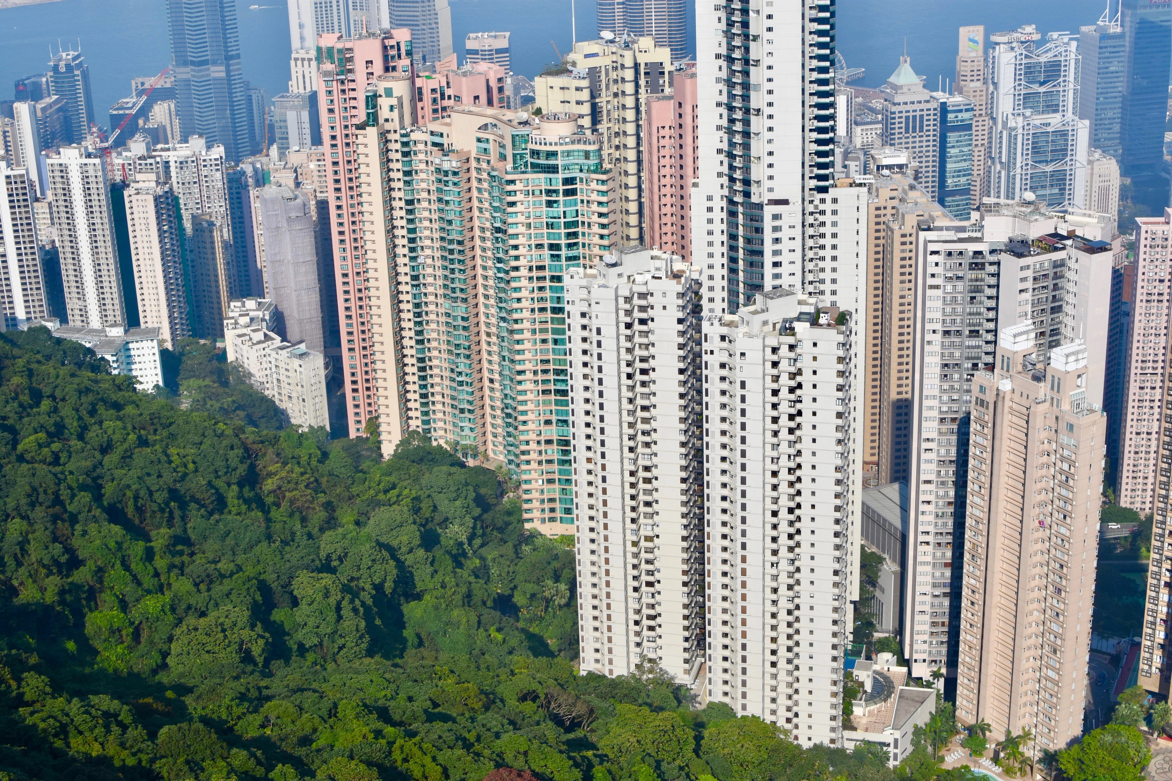 Dense apartment towers rise above a wooded hillside.