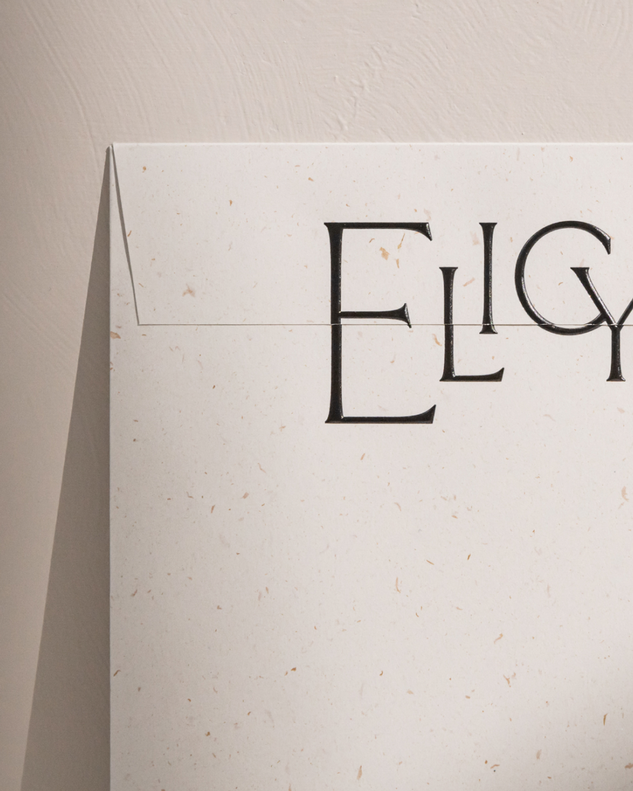 Elicyon | Regular Practice