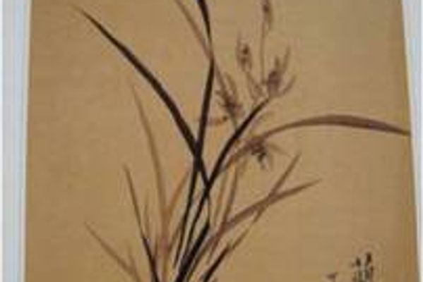 國畫畫家徐百華慈善教學