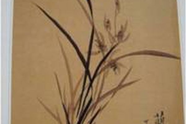 國畫畫家徐百華慈善教學