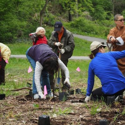 2015 地球日活动 - 4