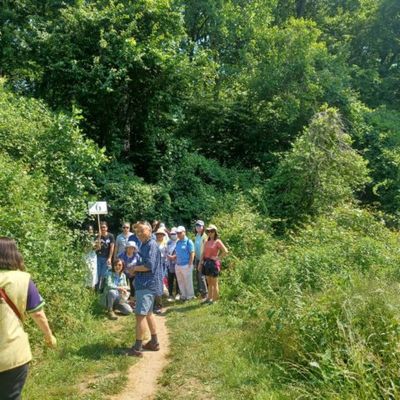 2023 复蔬公益路跑 - 1