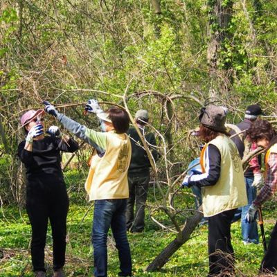 2014 地球日活动 - 3