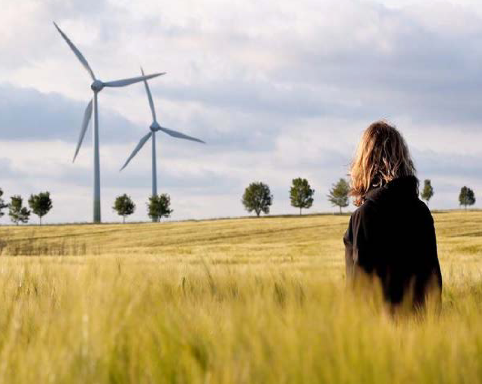 Windkraftanlage im Feld