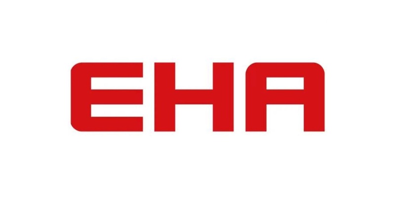 EHA Energie-Handels-Gesellschaft Logo