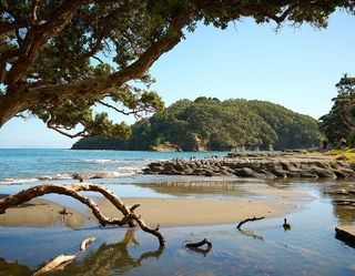 09_Goat Island.jpeg