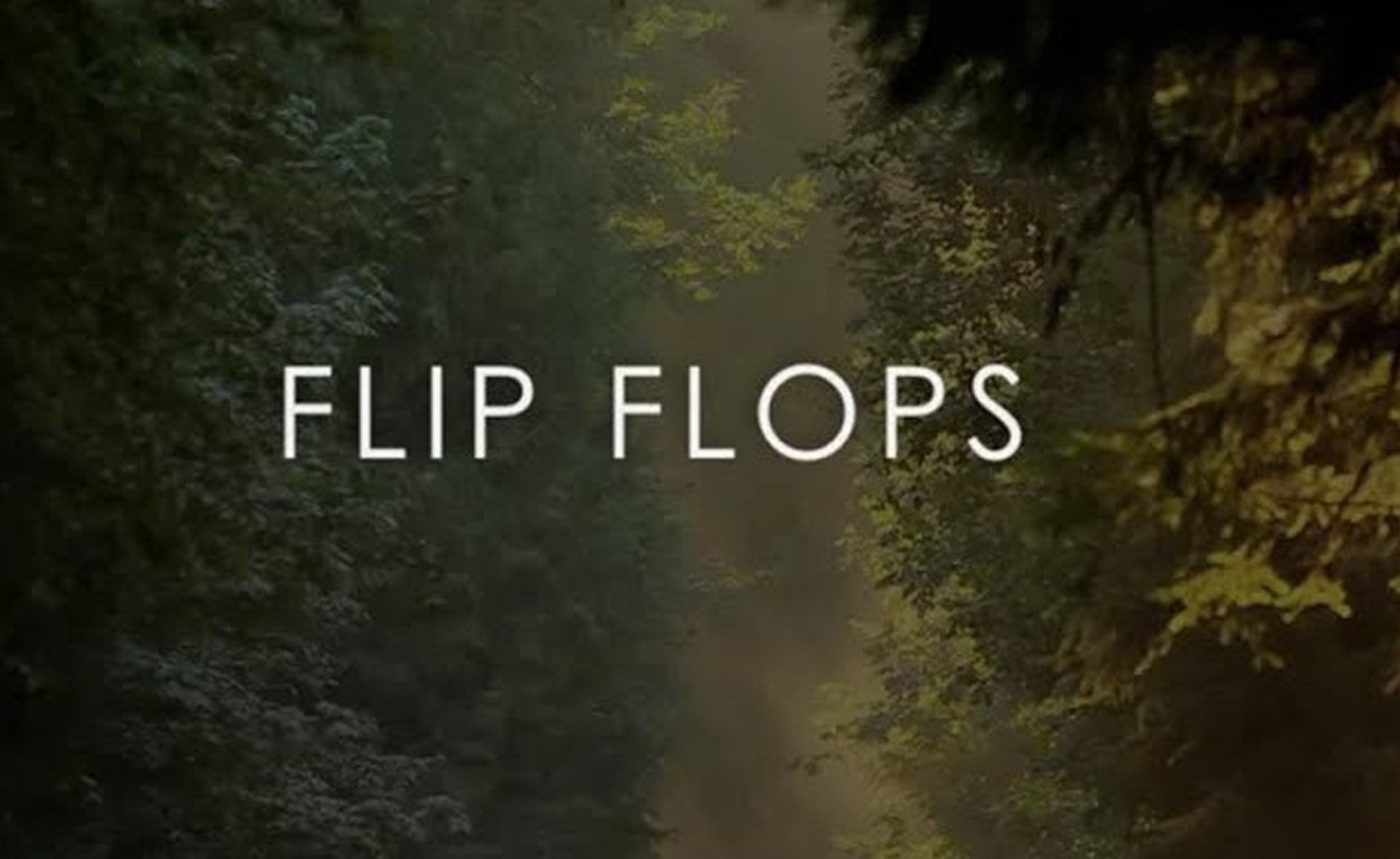 Flip Flops
