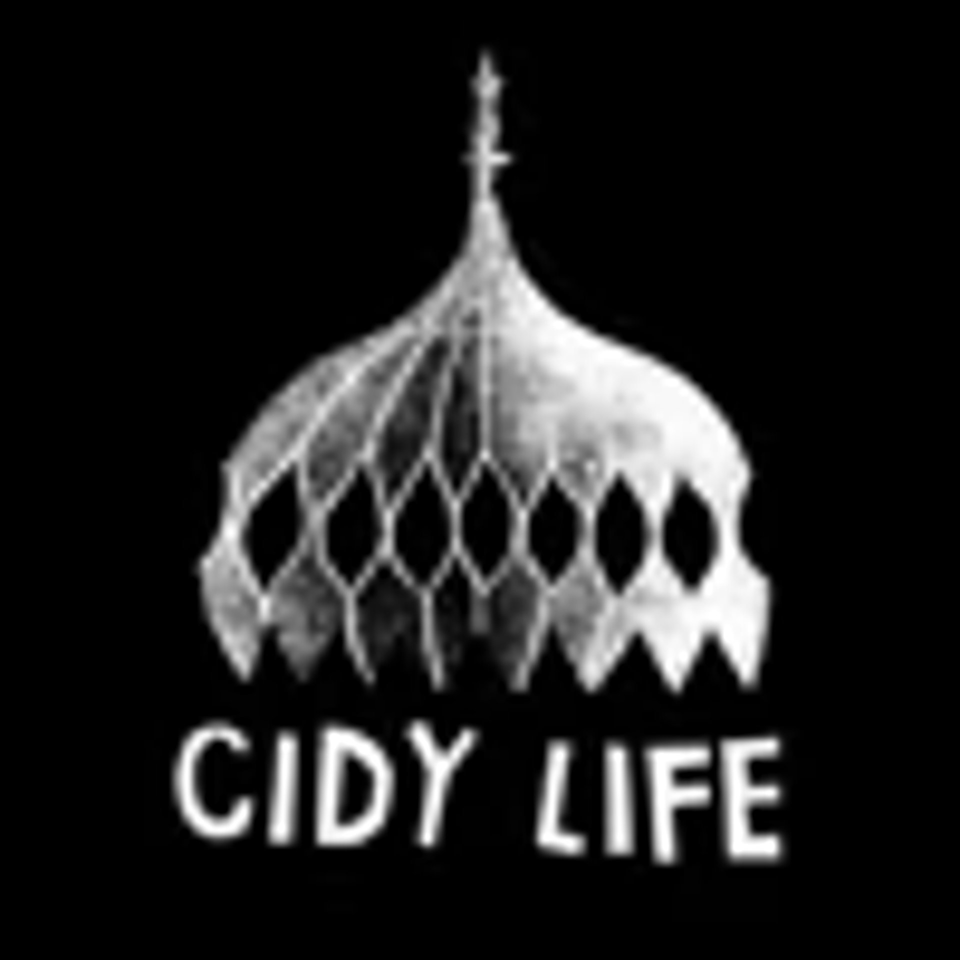 Cidy Life