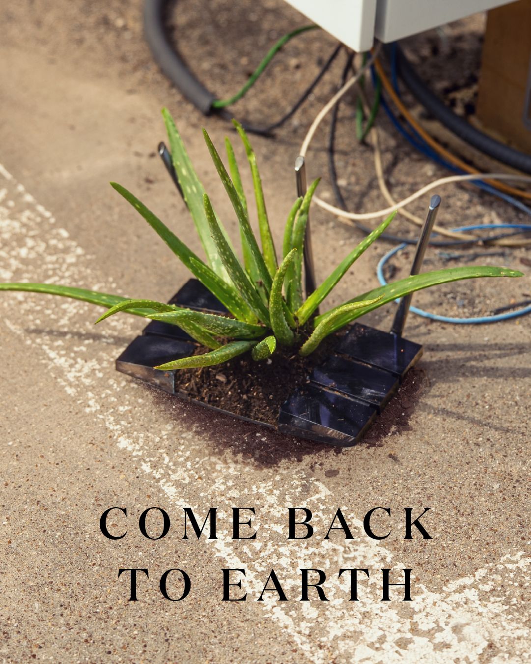 Miracle-Gro, Earth Day — artwork 23 of 24
