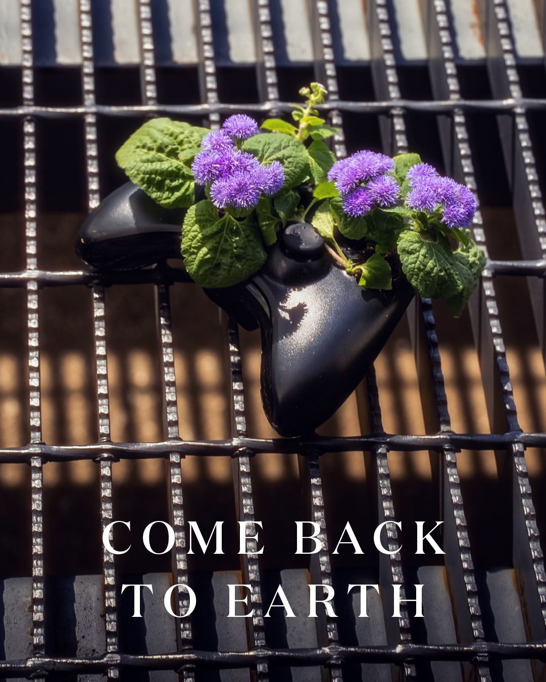 Miracle-Gro, Earth Day — artwork 22 of 24
