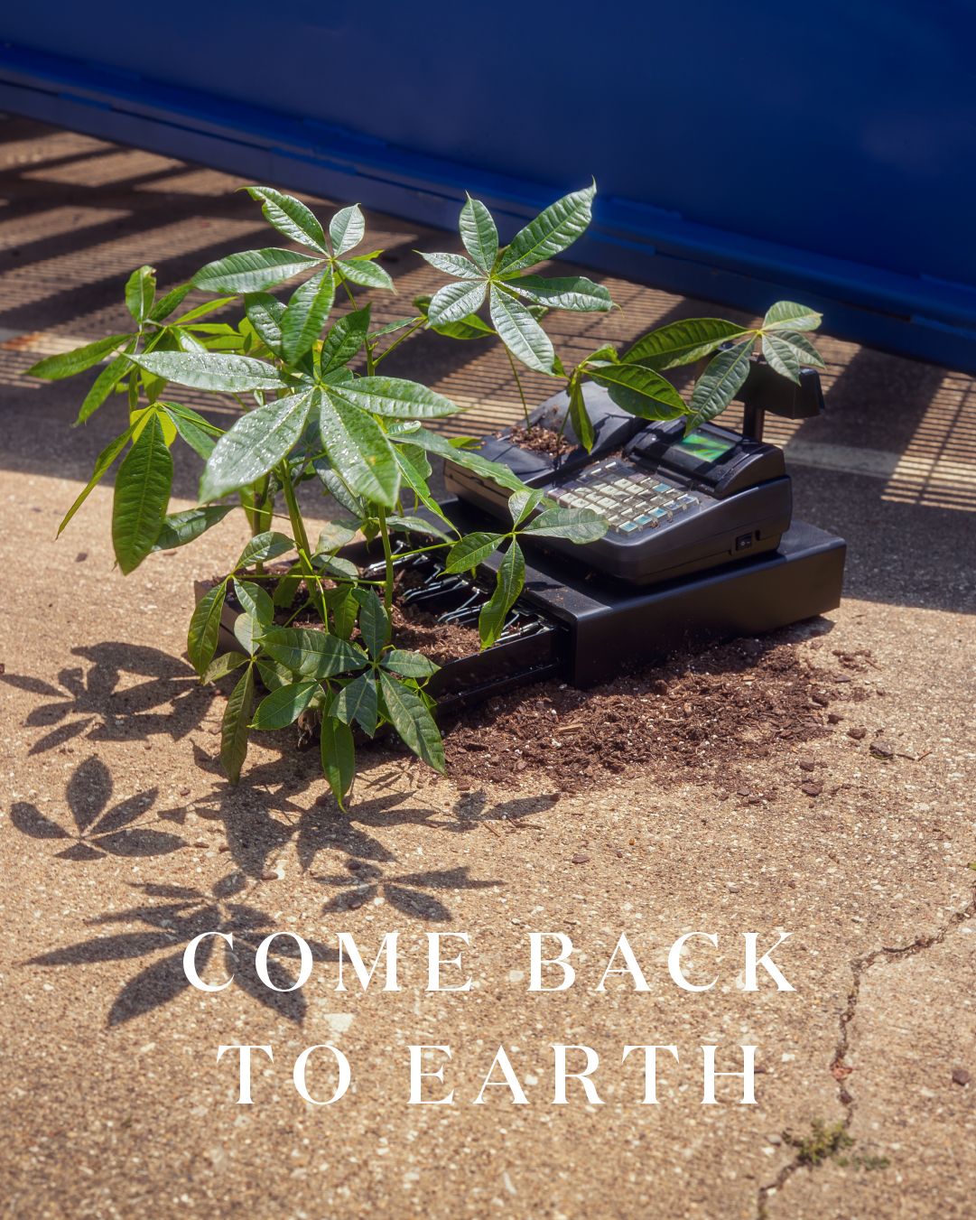 Miracle-Gro, Earth Day — artwork 21 of 24