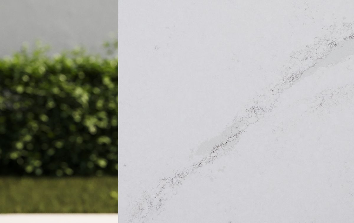 wide Bianco Olimpia