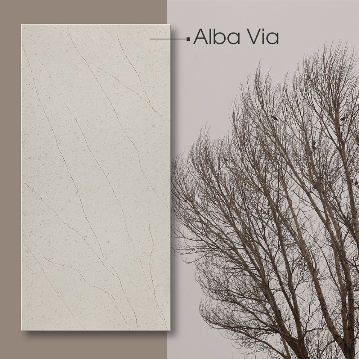 Alba Via - slika 10