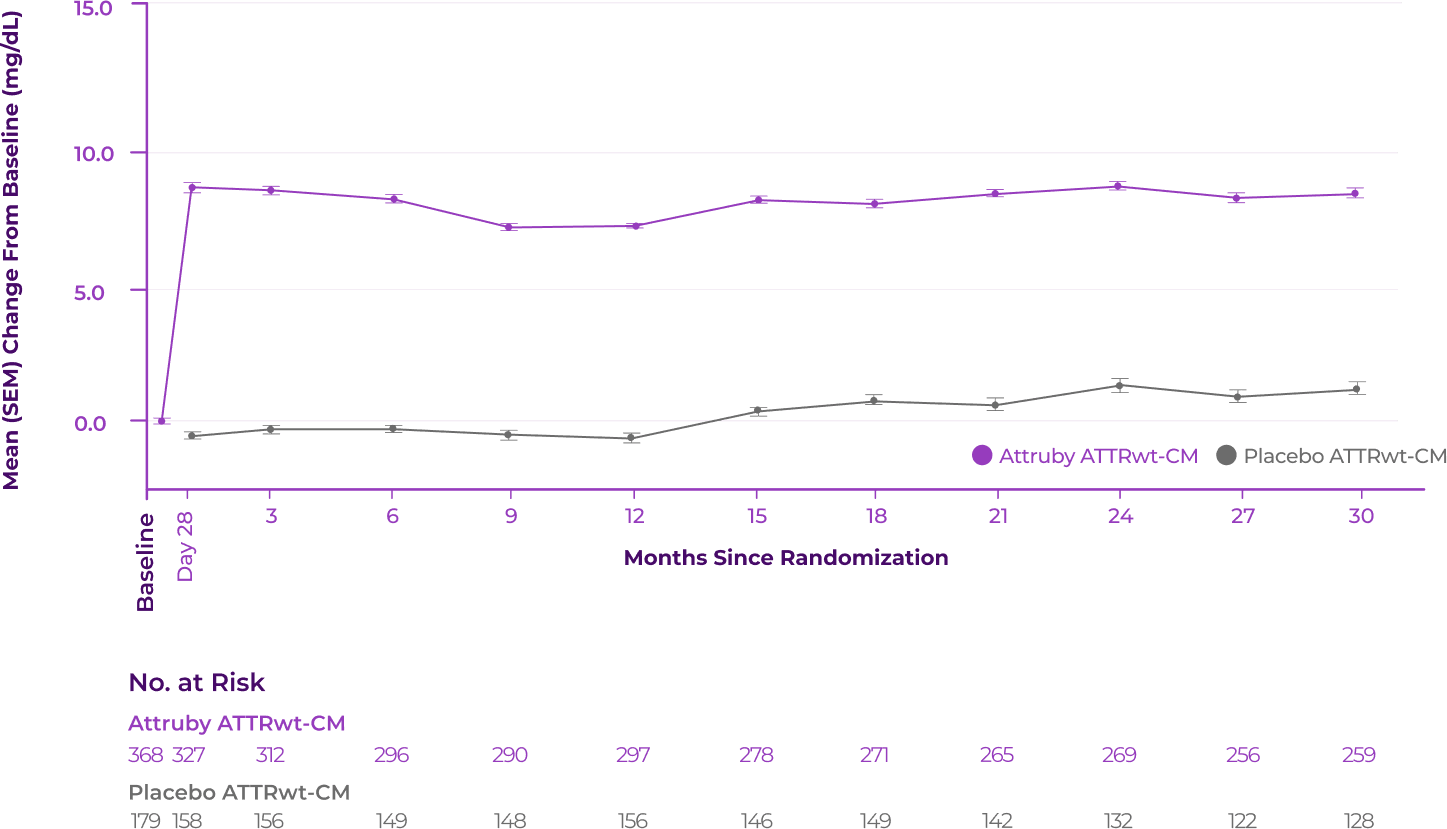 Graph showing change from baseline in serum TTR levels with Attruby® compared to placebo for ATTRwt-CM patients