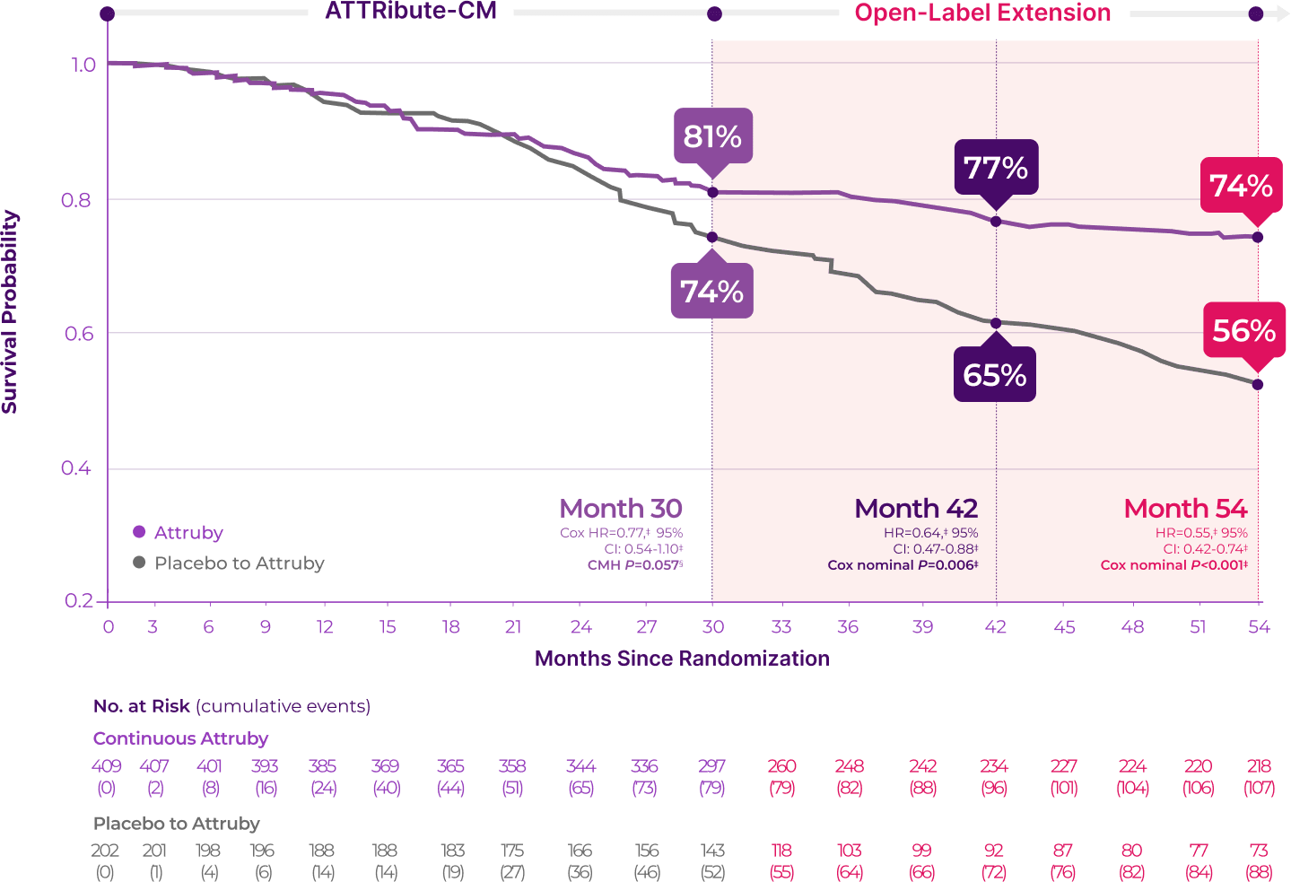 Graph of survival probability with Attruby® compared with placebo through Month fifty-four