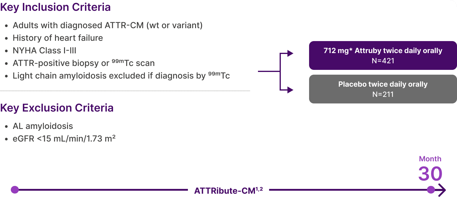 ATTRibute-CM study design showing inclusion and exclusion criteria and randomization to Attruby or placebo for 30 months