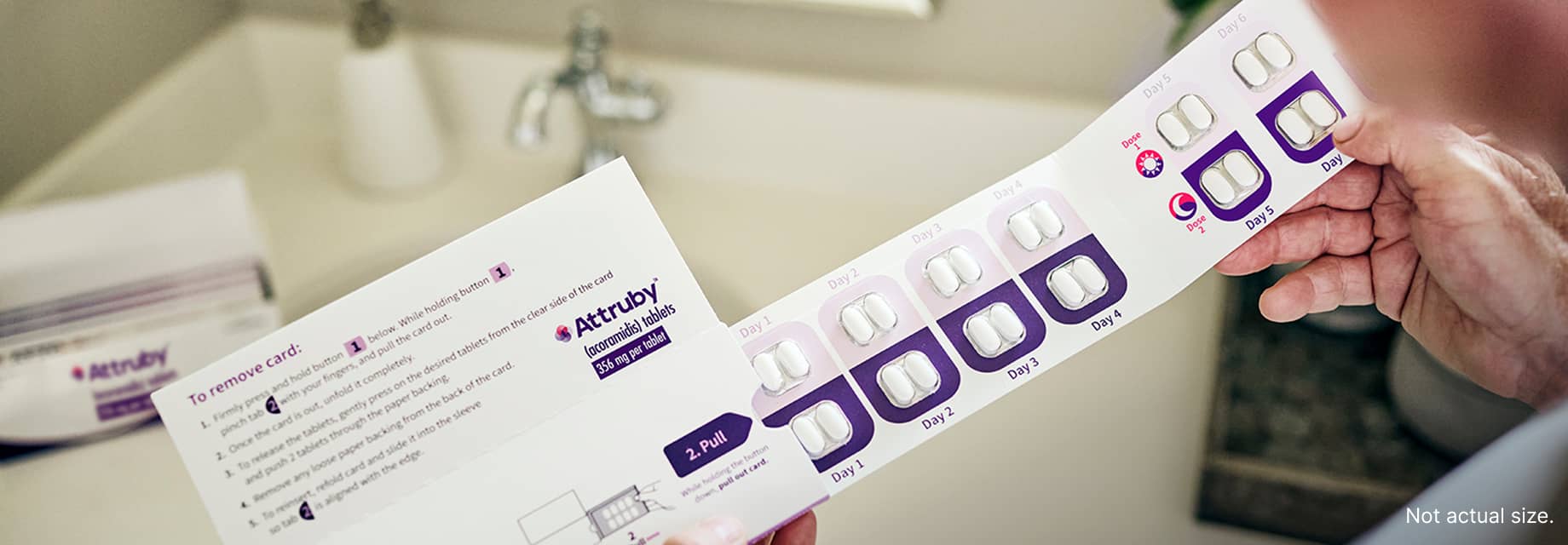 Person reviewing Attruby® packaging